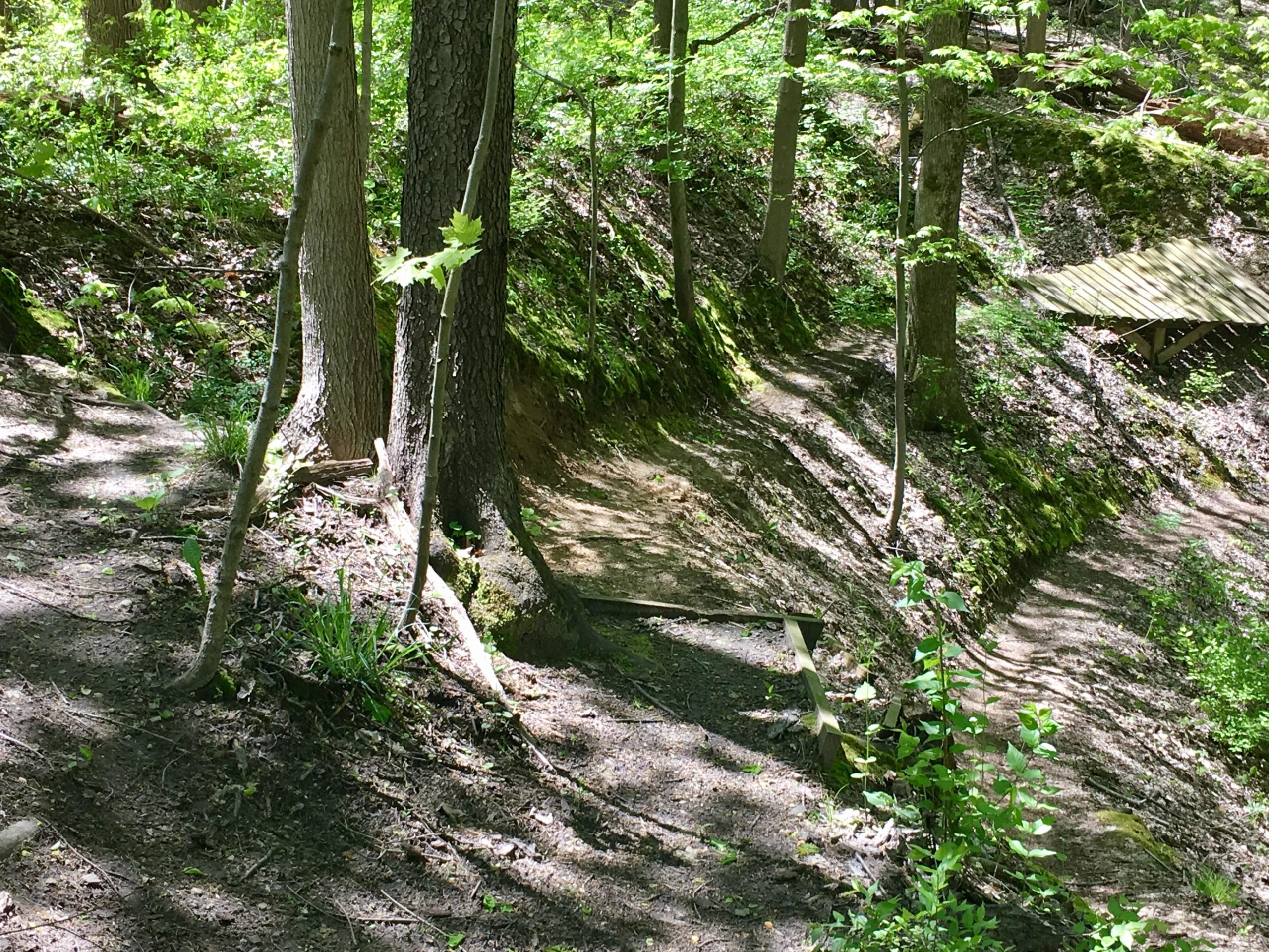 A sunlit forest path winding through green trees and lush undergrowth, with shadows cast on the ground. A wooden platform is visible in the background, enhancing the natural setting. Rum Village Pathway Mountain Biking Trail mountain bike trail.