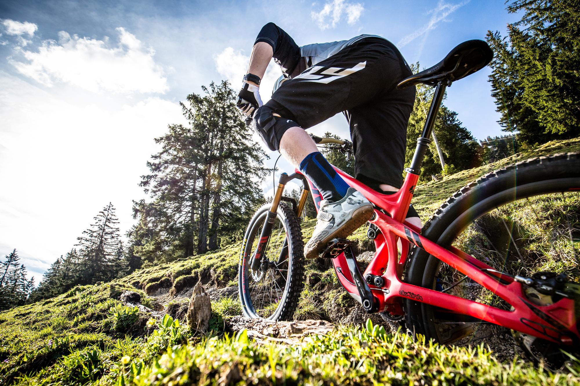 Pivot Mach 5.5: A mountain biker navigating a rugged trail on a bright sunny day, surrounded by tall trees and green grass. The focus is on the bike with a vibrant red frame and the rider's legs in motion, highlighting the dynamic nature of the sport.