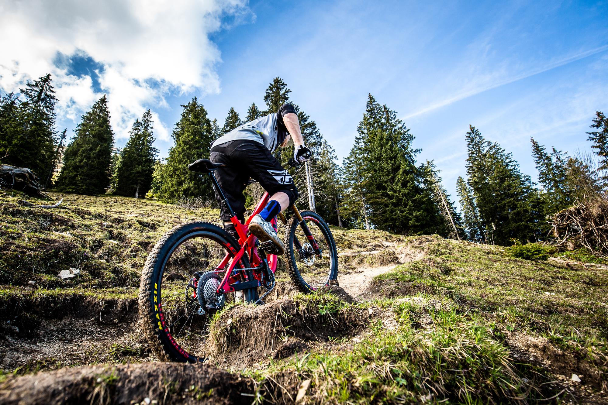 Pivot Mach 5.5: A mountain biker climbs a rugged, grassy trail surrounded by tall pine trees under a blue sky with some clouds. The biker's bright red bike contrasts with the earthy tones of the trail.