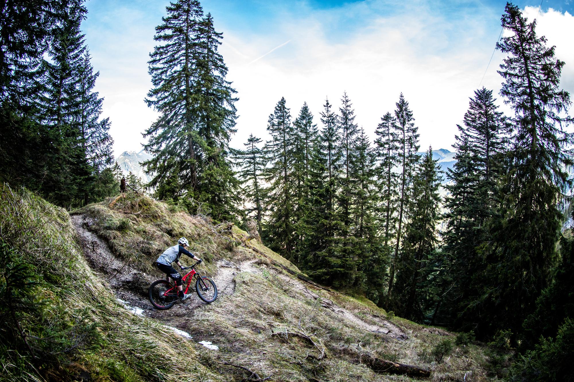 Pivot Mach 5.5: A mountain biker navigating a winding dirt trail surrounded by tall evergreen trees and a mountainous landscape in the background. The scene captures the thrill of outdoor biking adventures.