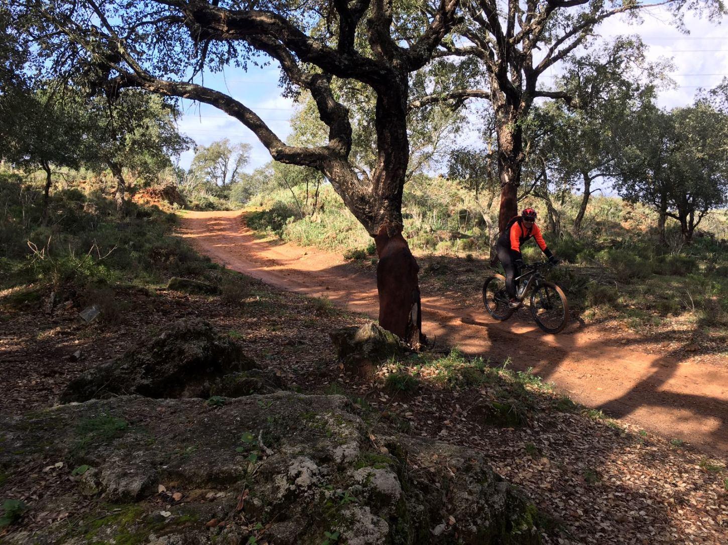 A cyclist in an orange jacket rides along a dirt path winding through a wooded area with trees and rocky terrain under a partly cloudy sky. 
