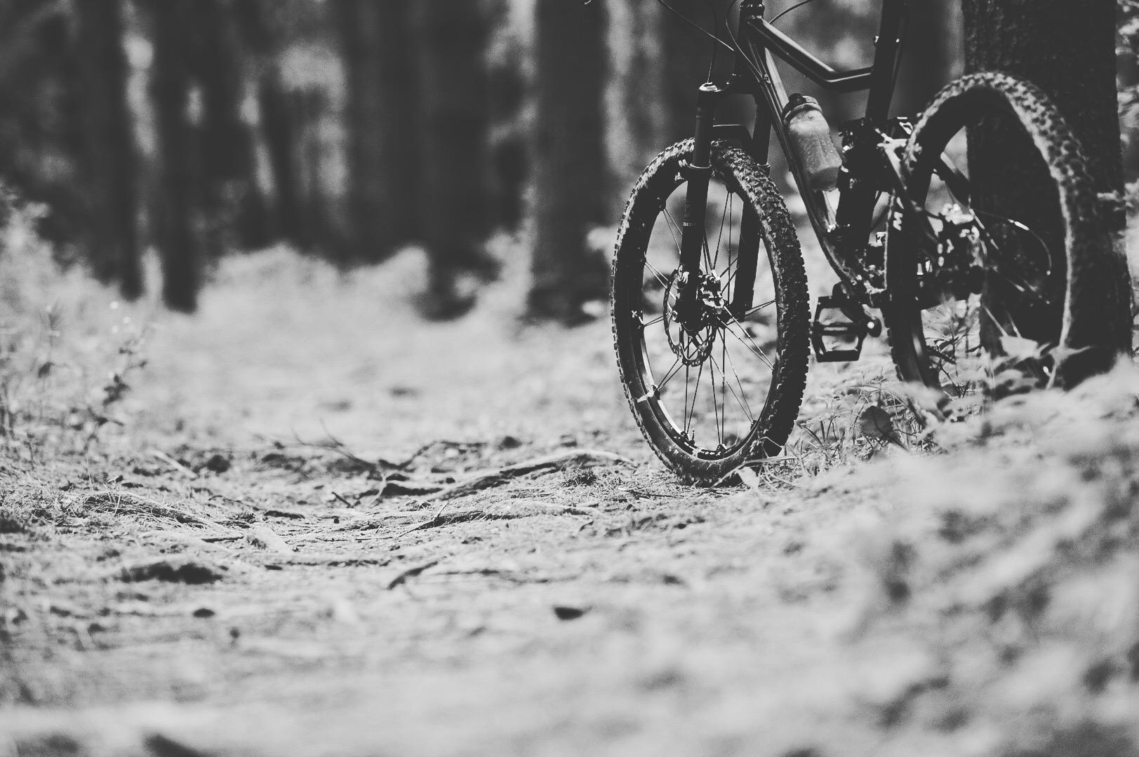 A close-up view of a mountain bike resting on a dirt trail surrounded by trees, presented in black and white. The focus is on the bike's front wheel and the textured ground, highlighting the natural forest environment. Farmdale Reservoir Recreation Area mountain bike trail.