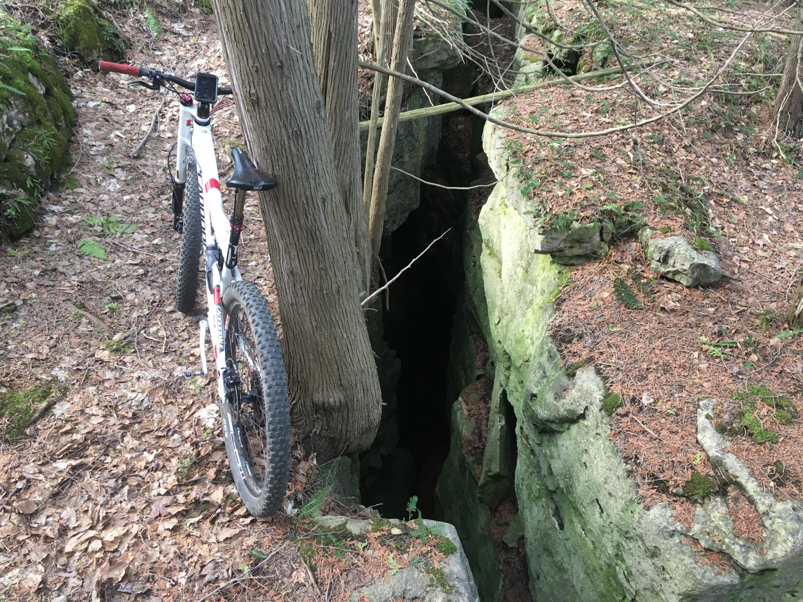 A mountain bike parked next to a rocky crevice in a wooded area, with a tree and fallen leaves surrounding the scene. The sunlight filters through the trees, highlighting the natural textures and colors of the landscape. Inglis falls West rock mountain bike trail.