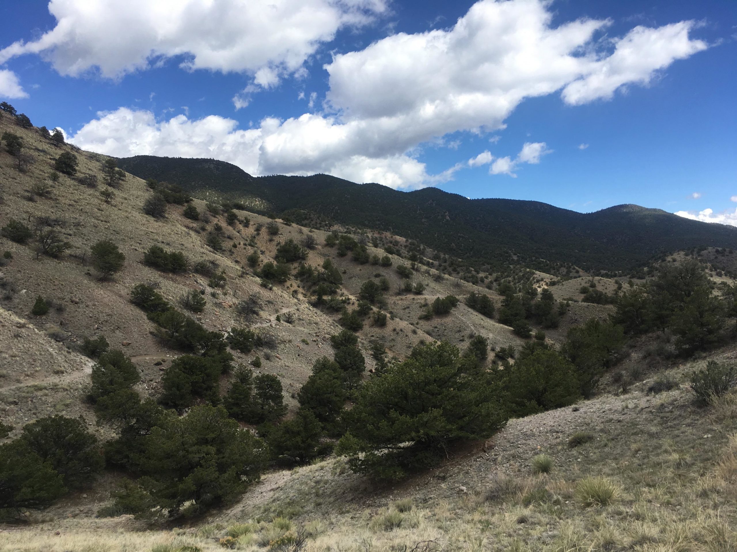 Landscape view of rolling hills and valleys, featuring patches of trees and shrubs against a backdrop of mountains under a partly cloudy sky. Arkansas Hills mountain bike trail.