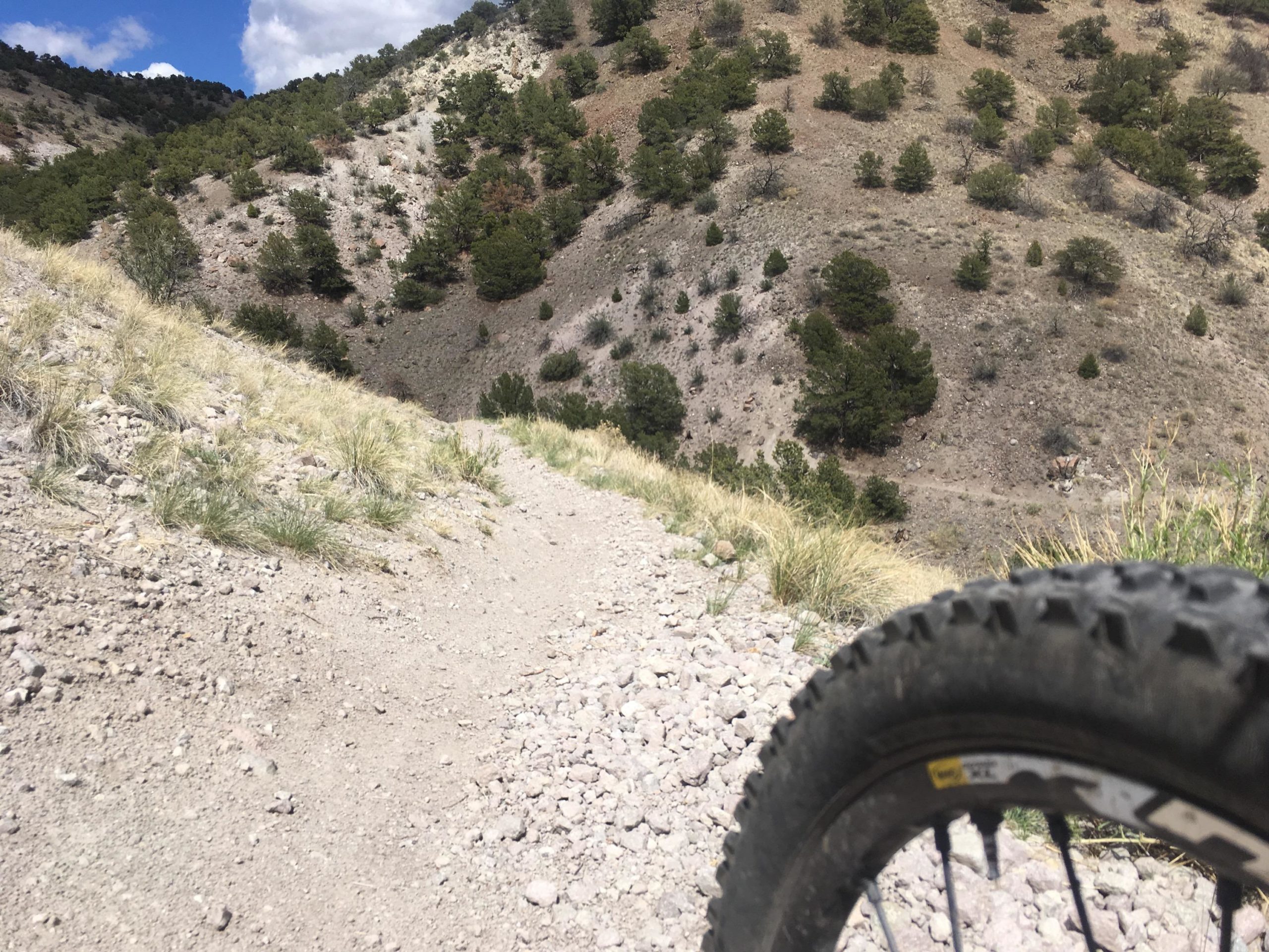 A close-up view of a mountain biking trail, featuring a dirt path surrounded by rocky terrain and sparse vegetation. In the foreground, a bicycle tire is partially visible, indicating the perspective of a cyclist. In the background, rolling hills are covered with green trees and low shrubs under a partly cloudy sky. Arkansas Hills mountain bike trail.