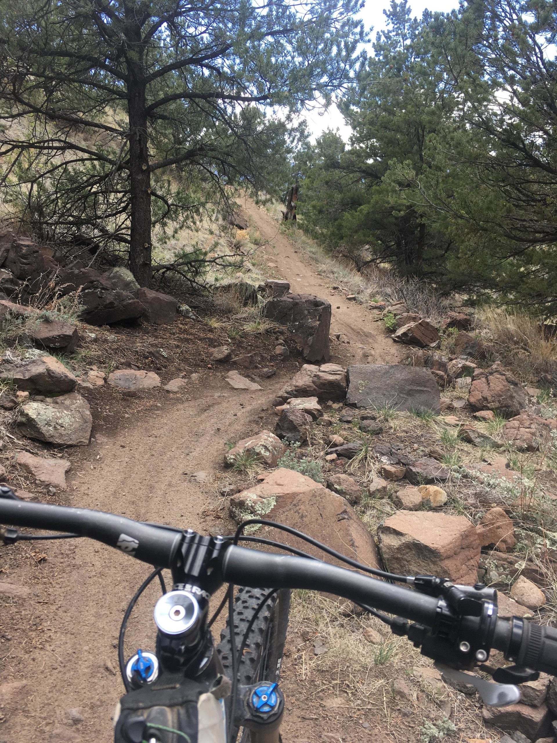 Mountain biking trail view from the handlebars of a bicycle, featuring a narrow dirt path winding through rocky terrain and surrounded by tall pine trees. The trail inclines into the distance, showcasing the natural landscape. Arkansas Hills mountain bike trail.