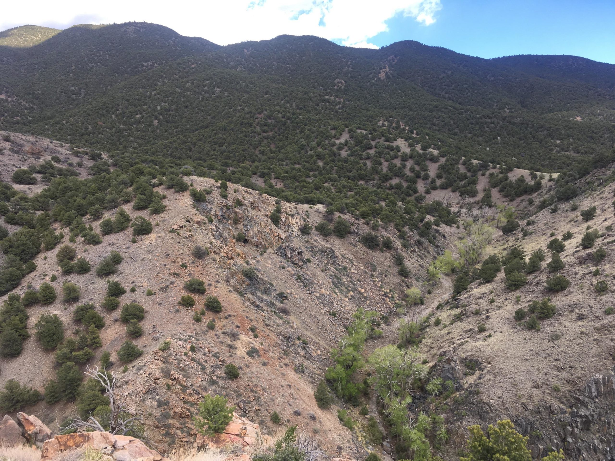 A scenic view of a mountainous landscape featuring rolling hills covered in green trees and shrubs. The foreground shows rocky terrain with a sparse mix of vegetation, while the background consists of steeper mountains with more dense greenery. A small ravine can be seen winding through the lower part of the scene, adding to the natural beauty of the area under a partly cloudy sky. Arkansas Hills mountain bike trail.