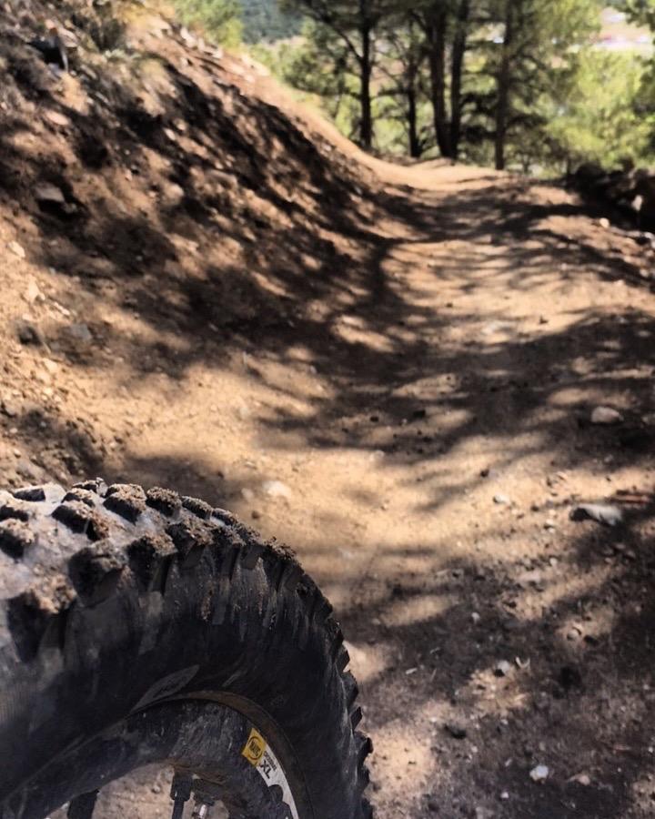 A close-up view of a bicycle tire on a dirt trail, with a rocky path and trees in the background. The foreground shows the tire’s tread, while the trail curves into the distance, surrounded by greenery. Chicken Dinner mountain bike trail.