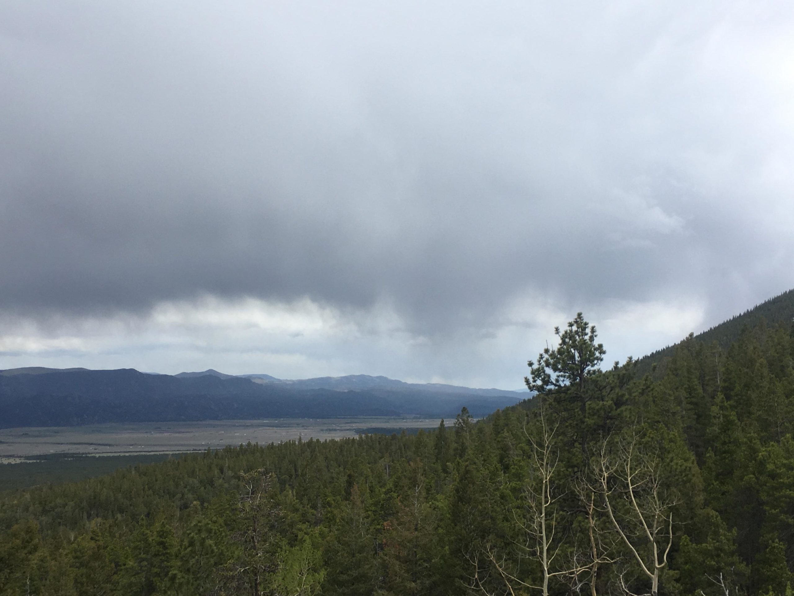A scenic view of a mountainous landscape under a cloudy sky, featuring a foreground of evergreen trees and a valley stretching into the distance. The horizon showcases rolling hills and peaks, with varying shades of green and gray. Colorado Trail: Mount Princeton to Avalanche Trailhead / Collegiate Peaks Wilderness mountain bike trail.