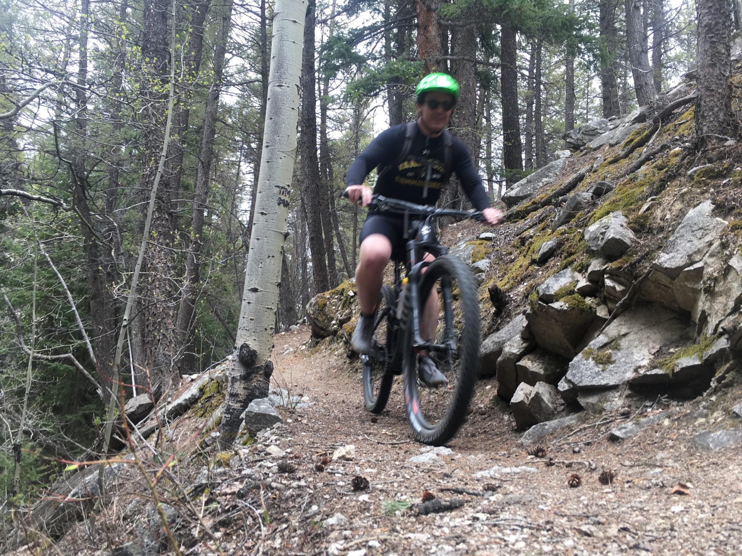 A mountain biker navigating a rocky trail in a dense forest, surrounded by tall trees and natural foliage. The cyclist is wearing a green helmet and sunglasses, demonstrating an active outdoor lifestyle. Colorado Trail: Mount Princeton to Avalanche Trailhead / Collegiate Peaks Wilderness mountain bike trail.