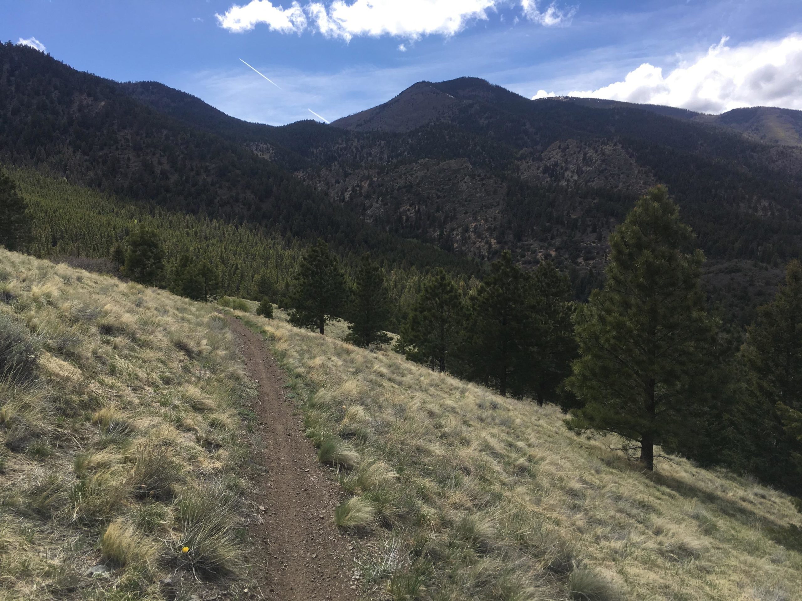A scenic view of a mountain landscape featuring a dirt hiking trail winding through grassy terrain and clusters of coniferous trees. The background showcases rugged mountains under a partly cloudy blue sky, with a glimpse of an airplane contrail marking the horizon. Rainbow Trail: Methodist Mountain Thd to Bear Creek Thd mountain bike trail.