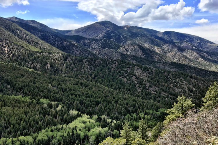 Vast landscape of mountains covered in dense greenery under a partly cloudy sky, showcasing rolling hills and a rich variety of trees in different shades of green.