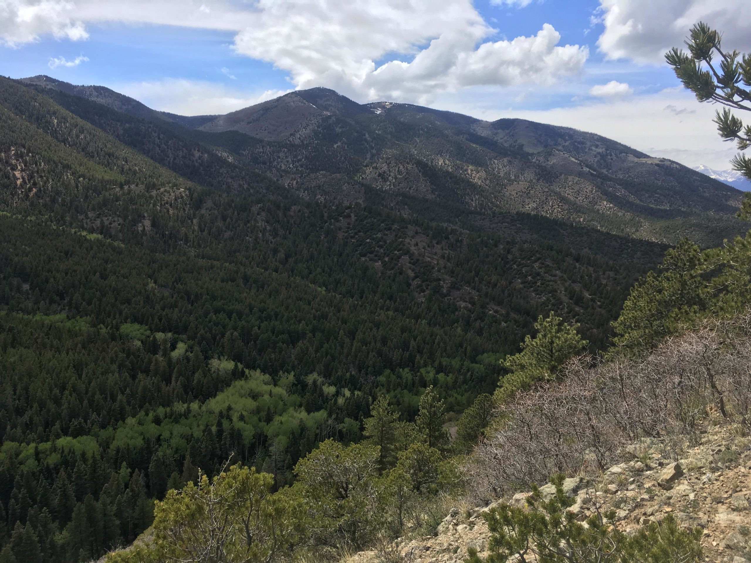 A panoramic view of rolling mountains covered in dense green forests under a partly cloudy sky, showcasing a mix of greenery and rocky terrain in a natural landscape. Rainbow Trail: Methodist Mountain Thd to Bear Creek Thd mountain bike trail.