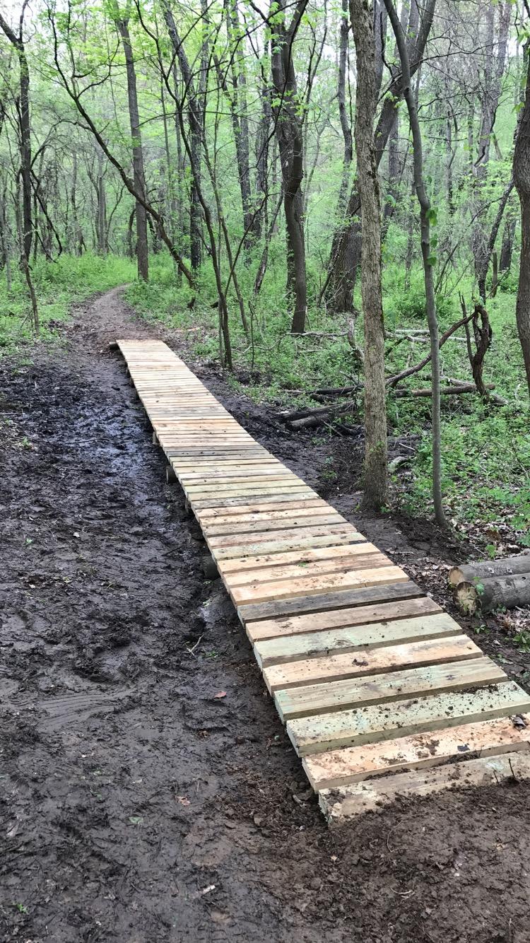 A wooden walkway stretches through a muddy area in a lush green forest, surrounded by trees and underbrush. The path provides a clear route for walking, bridging over damp ground. Oak Openings -- Beach Ridge Singletrack Trail mountain bike trail.