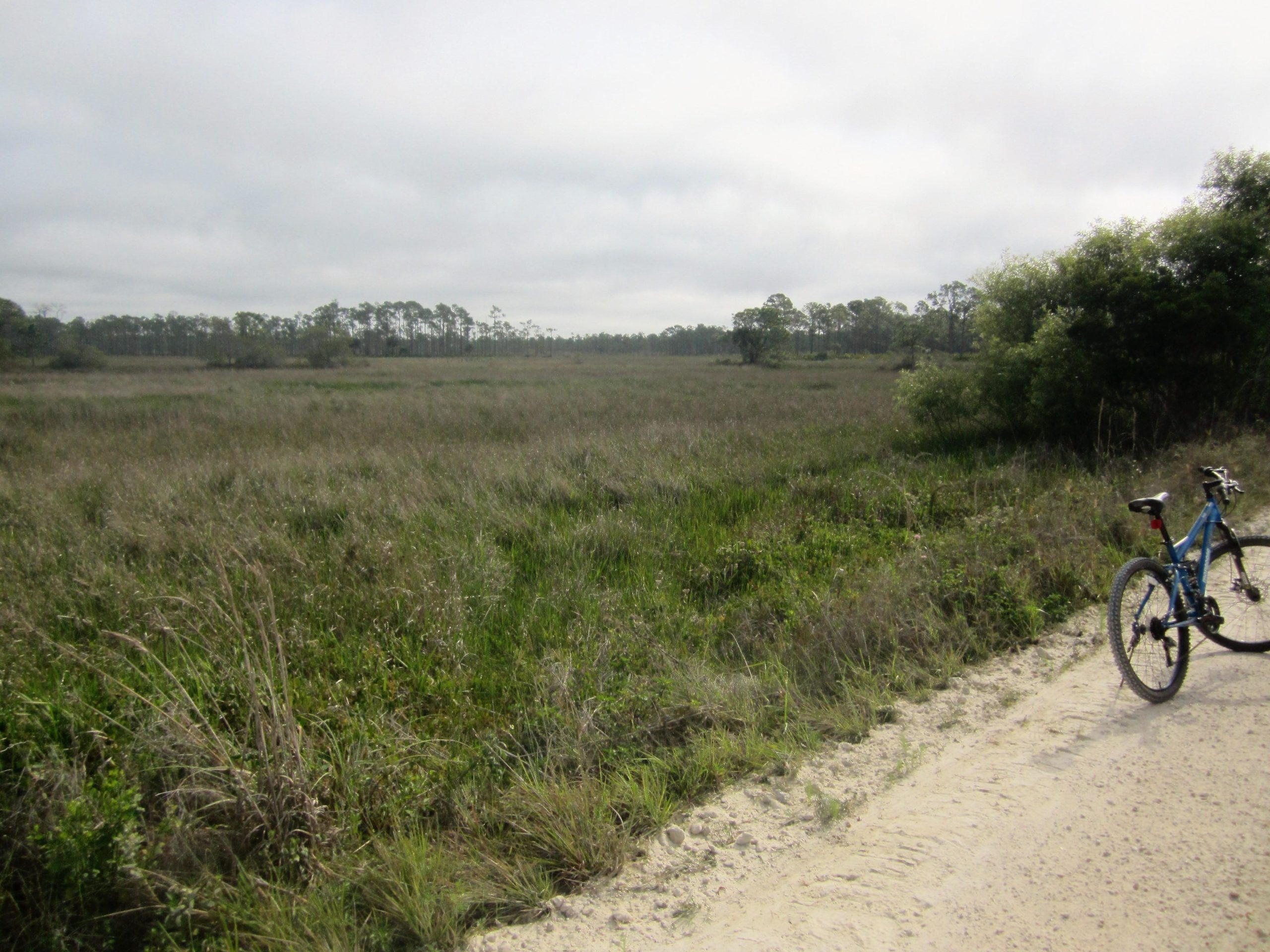 A scenic view of a grassy, open field under a cloudy sky, with a blue bicycle parked on a dirt path in the foreground. The landscape features patches of tall grass and sparse trees in the background, suggesting a serene outdoor setting. Tuckers Grade Out Tram Grade Back mountain bike trail.