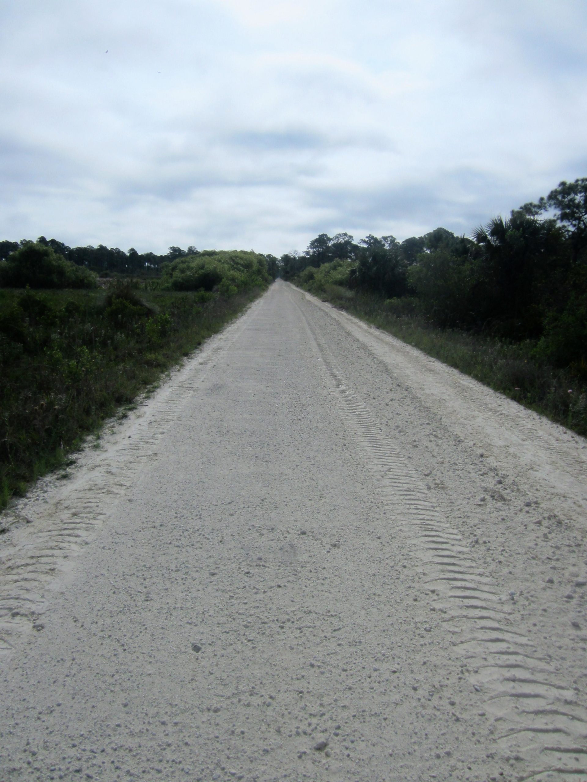A sandy dirt road stretches into the distance, flanked by green vegetation on both sides under a cloudy sky. The road shows tire tracks, indicating recent travel, and leads towards a natural landscape. Tuckers Grade Out Tram Grade Back mountain bike trail.