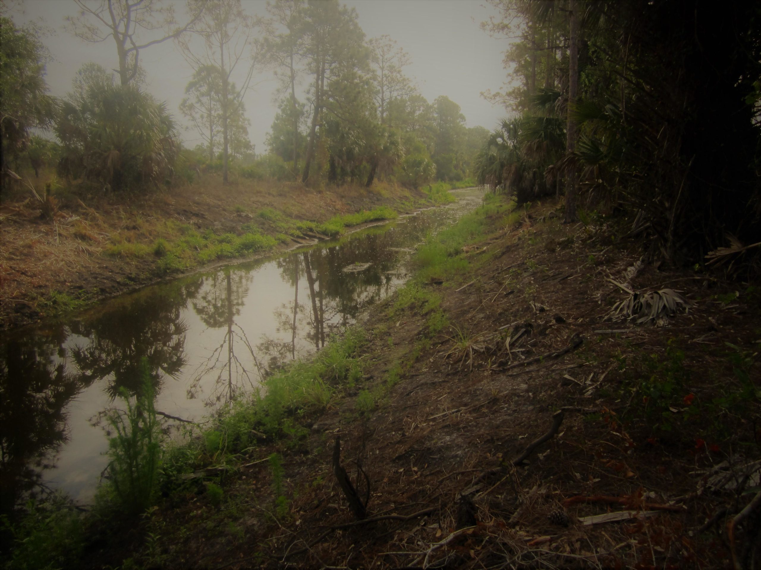 A serene, misty landscape featuring a narrow creek bordered by lush green vegetation and trees. The water reflects the surrounding greenery and trees, creating a tranquil scene. The area appears untouched, with scattered branches and foliage along the banks. Yucca Pens Unit State Wildlife Management Area mountain bike trail.