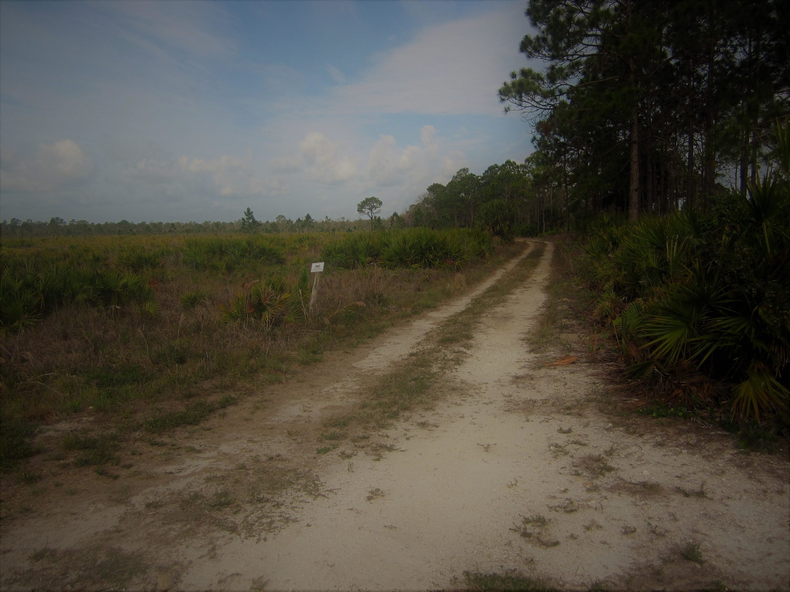 A dirt path winding through a grassy area, bordered by various plants and trees. A signpost is visible on the left side of the path, and the sky above features scattered clouds. The scene conveys a tranquil, natural environment. Yucca Pens Unit State Wildlife Management Area mountain bike trail.