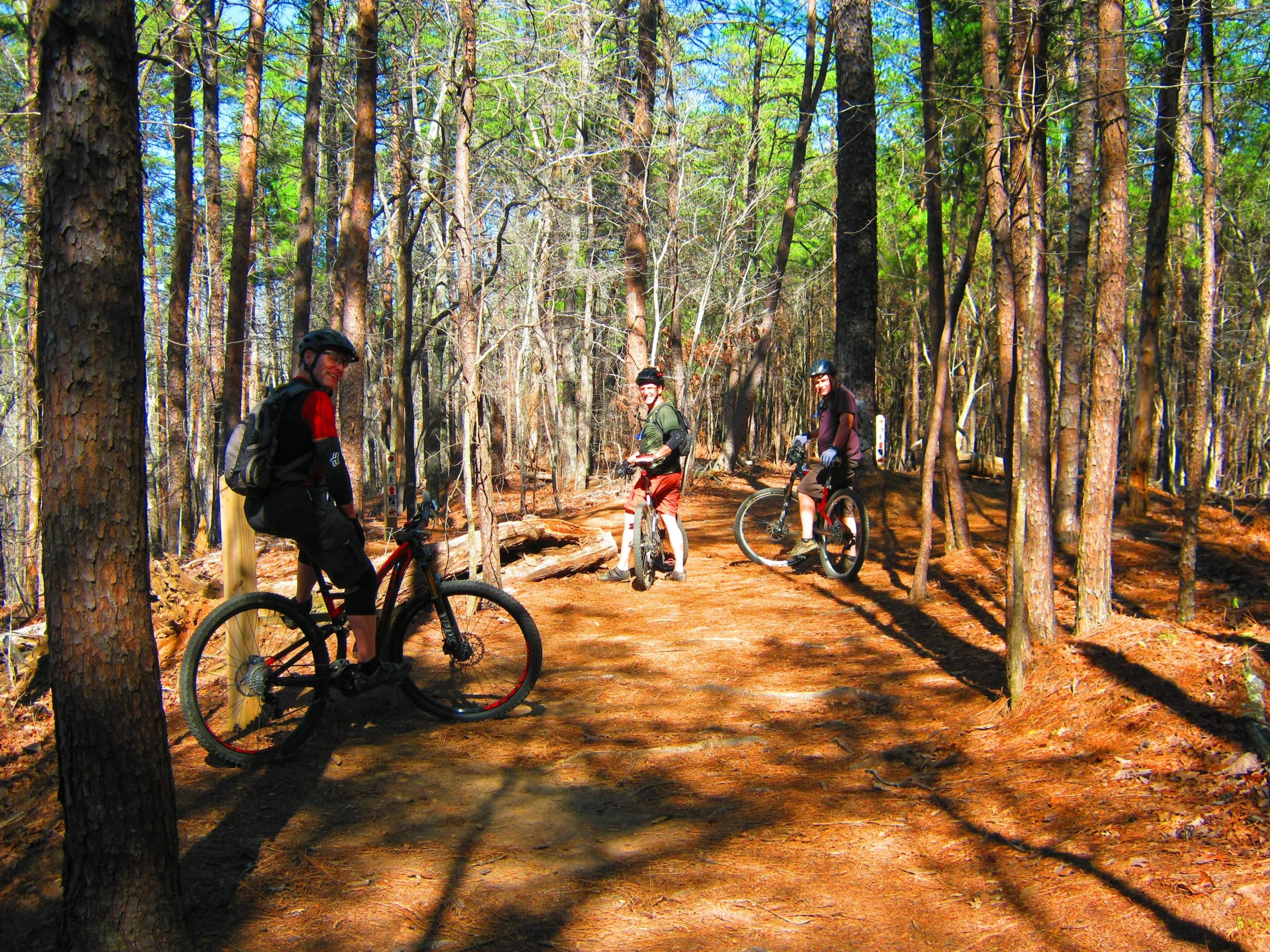 Three mountain bikers pause on a dirt trail surrounded by tall trees in a forest. Sunlight filters through the branches, casting shadows on the ground. One rider, wearing a black and red jersey, is turned towards the camera, smiling. Another biker in a green shirt and shorts is in the middle, while the third, dressed in a dark shirt, is sitting on his bike towards the right. The atmosphere is lively and adventurous, showcasing a recreational outdoor activity. Tannehill Historic Ironworks State Park mountain bike trail.