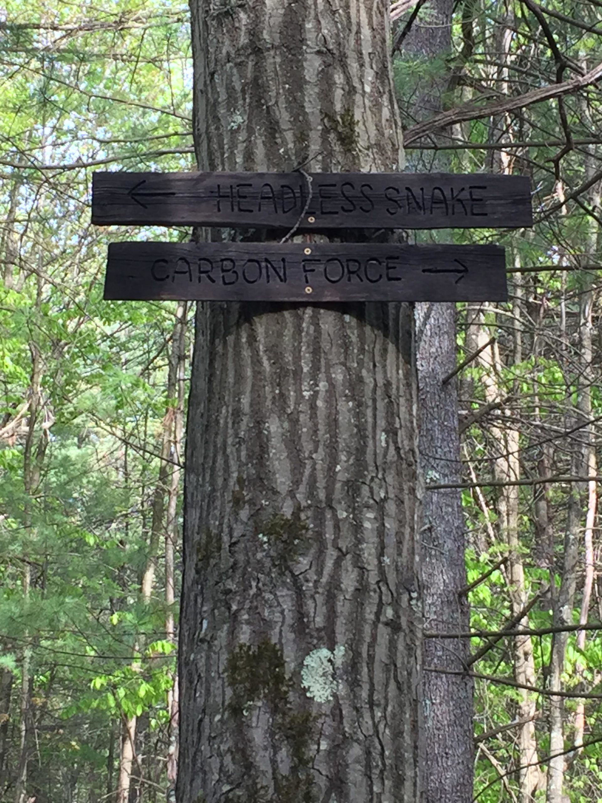 Two wooden directional signs on a tree in a forest. The sign pointing left reads "HEADLESS SNAKE," and the sign pointing right reads "CARBON FORCE." Surrounding trees and foliage are visible in the background. Russell Mill mountain bike trail.