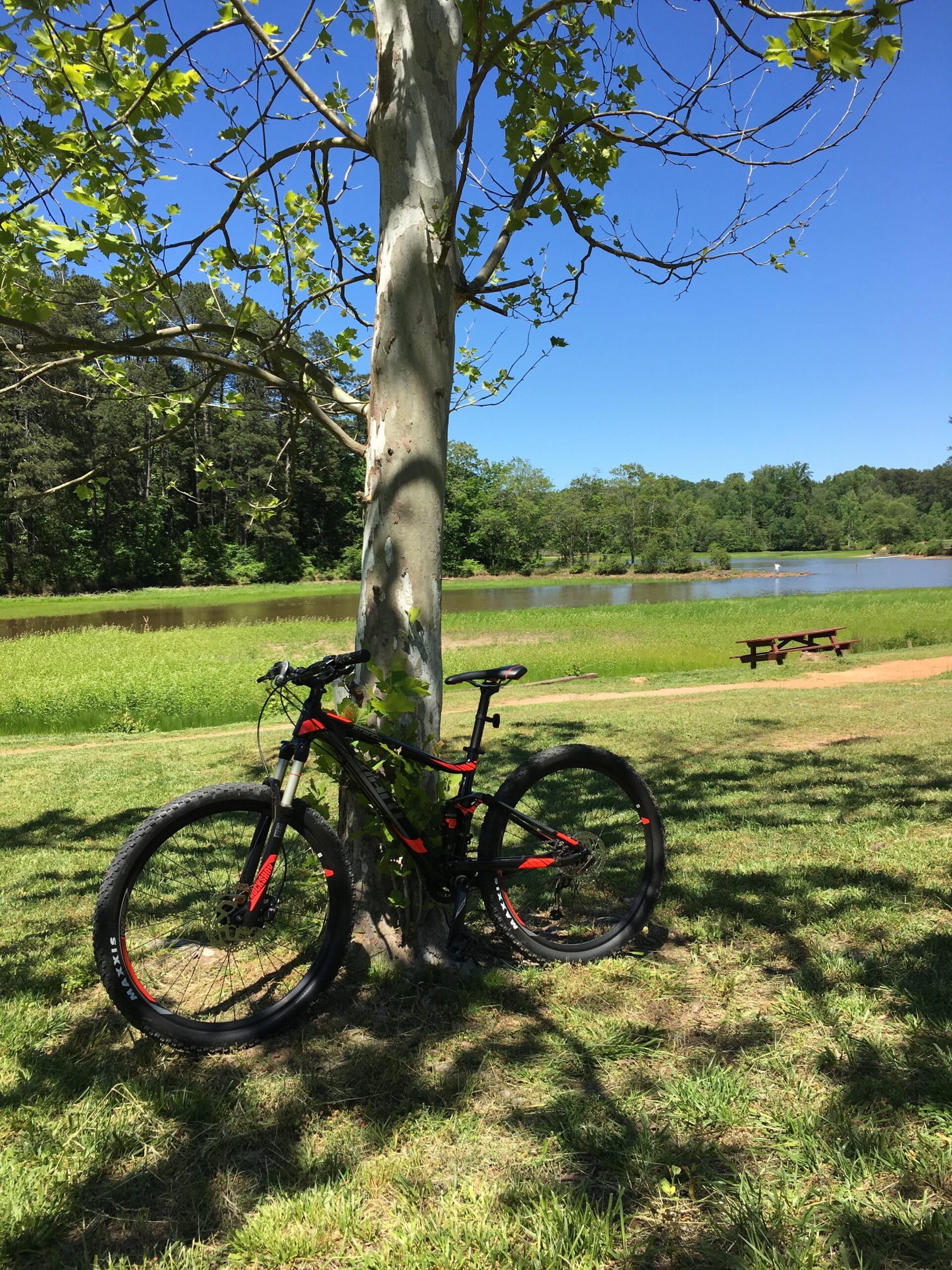 Giant Giant Stance 2: A mountain bike in black and red colors is leaning against a tree by a serene pond. The background features lush green grass, trees, and a clear blue sky. A picnic table is visible in the distance.