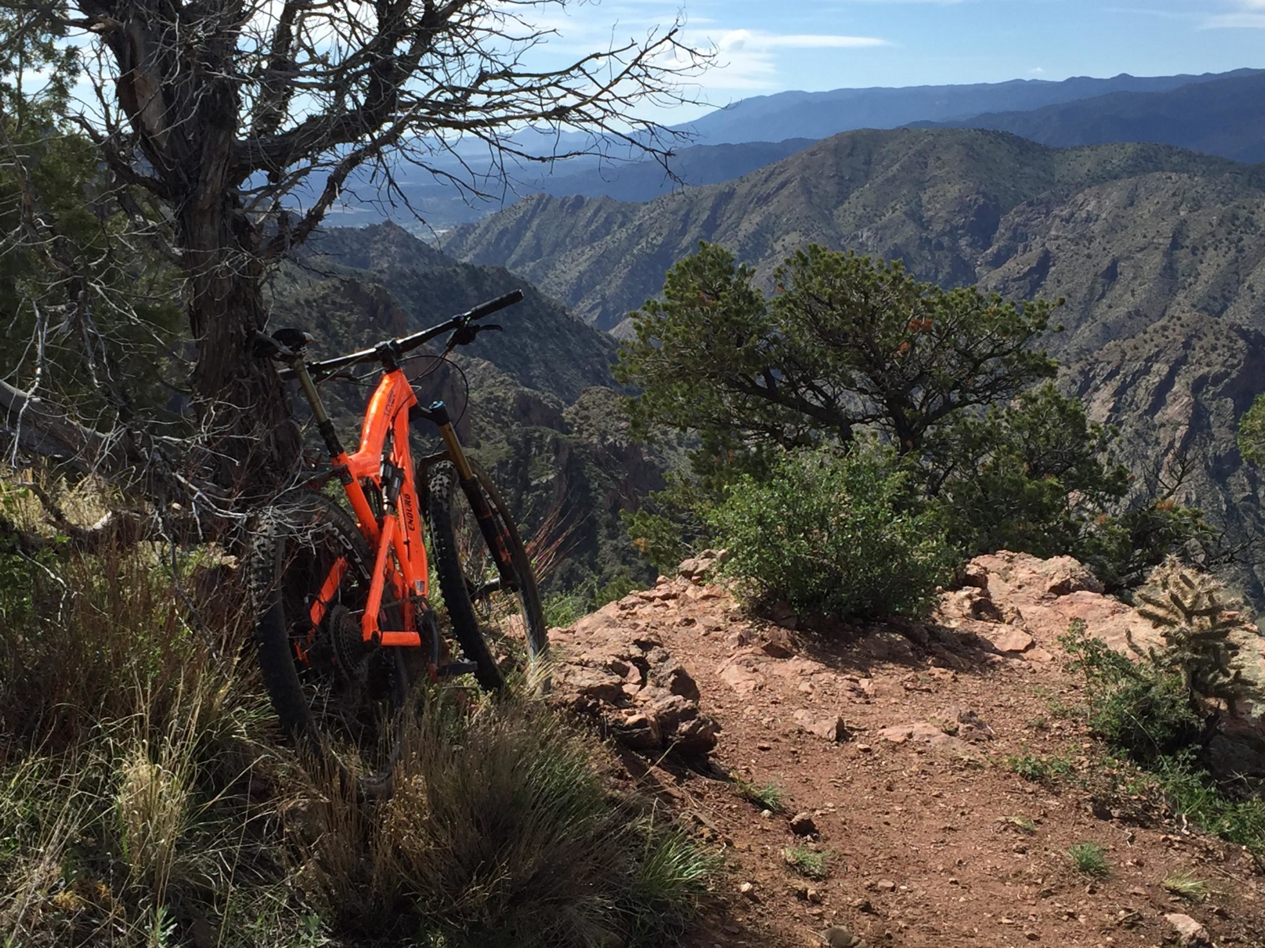 A bright orange mountain bike is leaning against a tree, overlooking a scenic view of rugged mountains and valleys in the background. The landscape features rocky terrain, greenery, and a clear blue sky. Royal Gorge Park Trail System mountain bike trail.