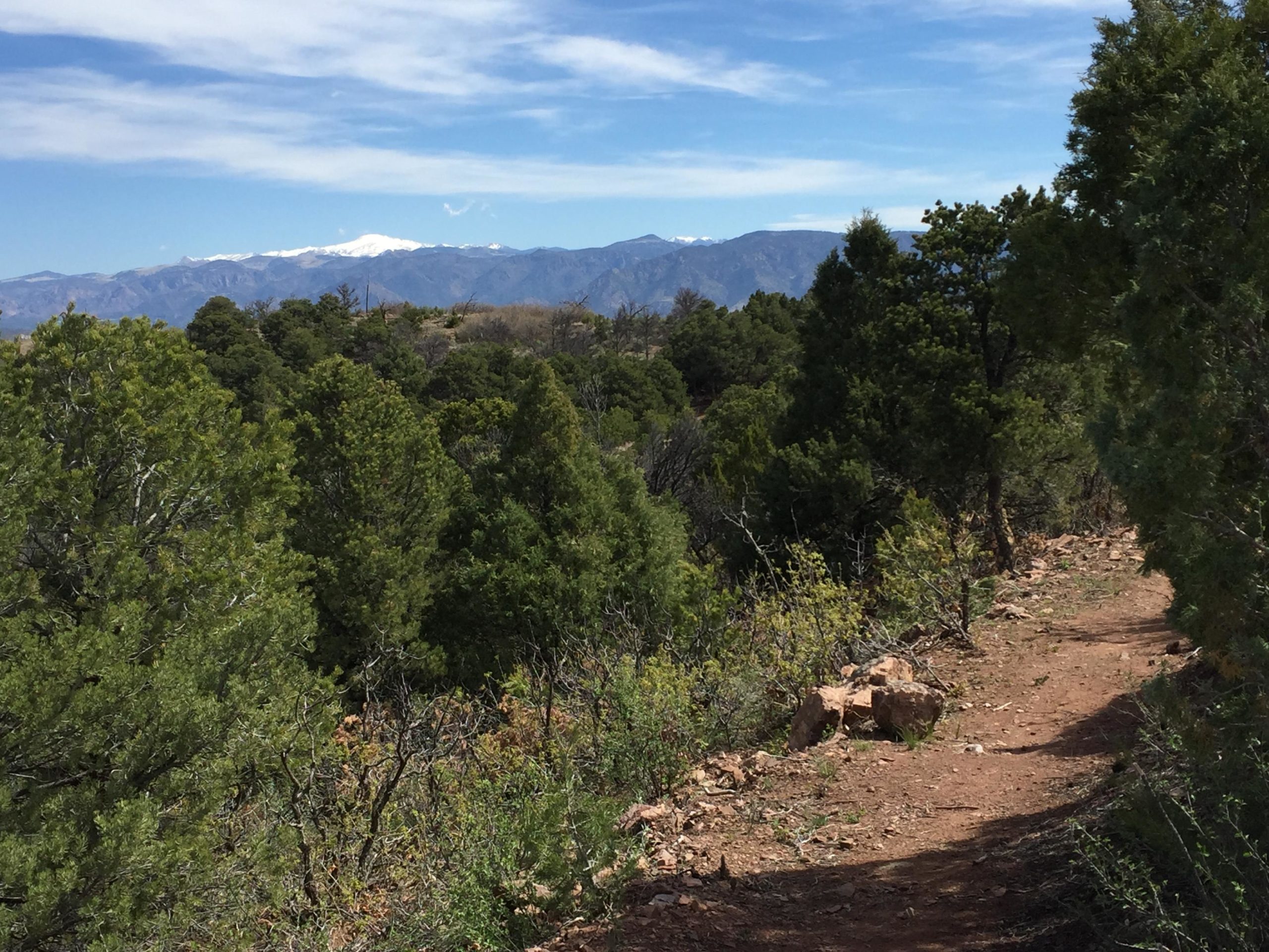 A scenic view of a hiking trail winding through lush greenery, with distant snow-capped mountains and a blue sky in the background. Royal Gorge Park Trail System mountain bike trail.