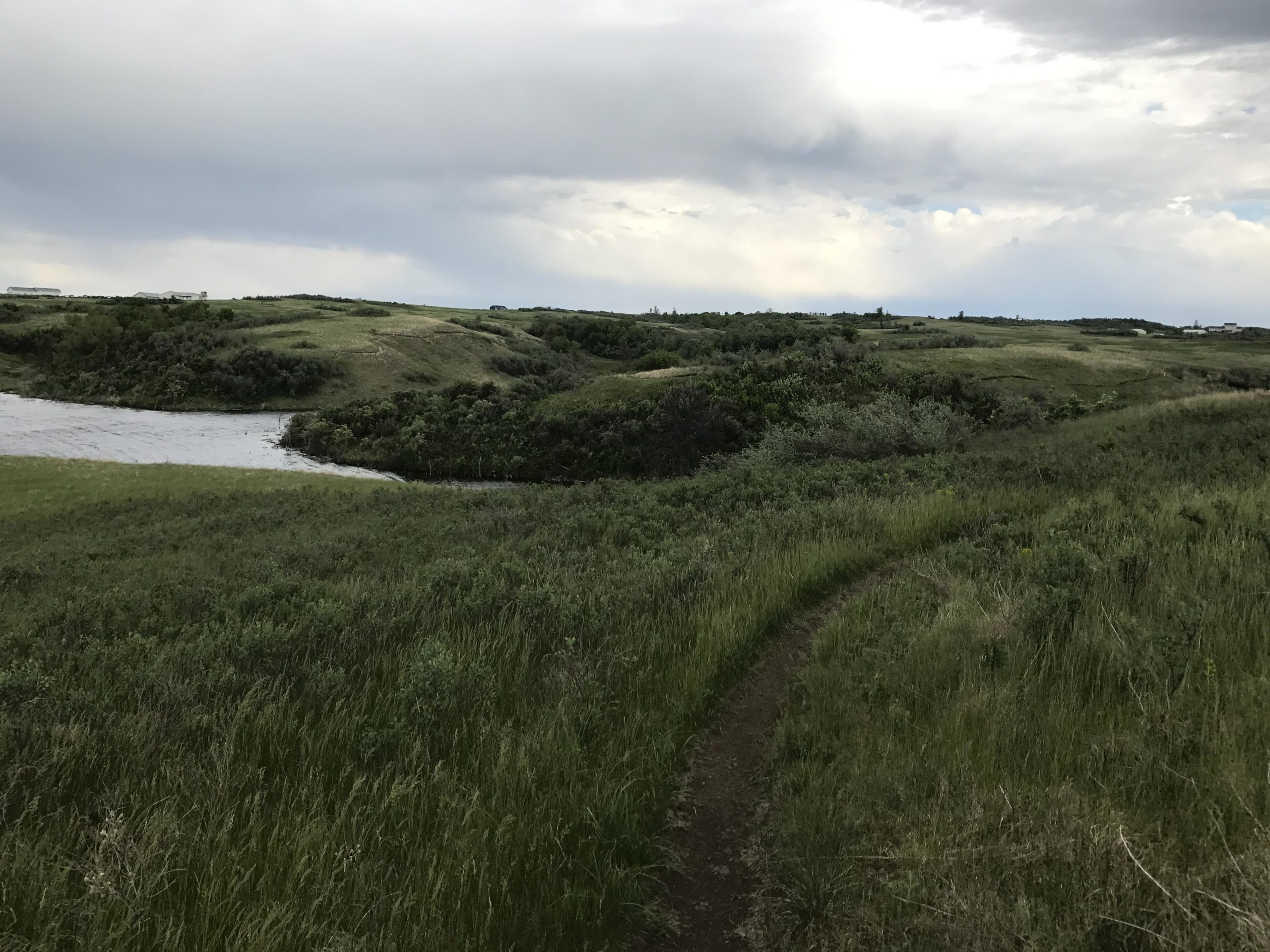 A lush green landscape with rolling hills and a winding river. The foreground features a narrow dirt path lined with grasses, leading toward a gently sloping hill. Overcast skies with patches of light illuminate the scene, hinting at a peaceful rural setting. Harmon mountain bike trail.