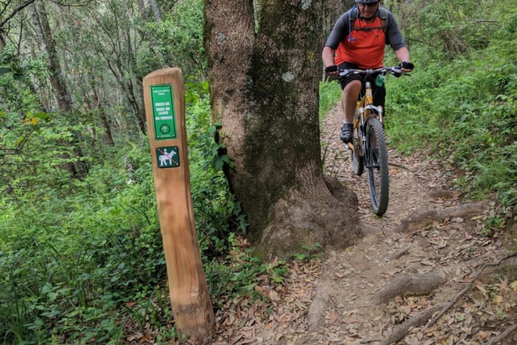 A mountain biker navigates a narrow trail surrounded by lush greenery, skillfully riding past a wooden trail sign that features guidelines for trail use. The biker is wearing a helmet and an orange shirt, with the bike's front wheel lifted off the ground as they maneuver around a tree. The ground is covered in leaves and exposed roots, indicating a natural trail environment.