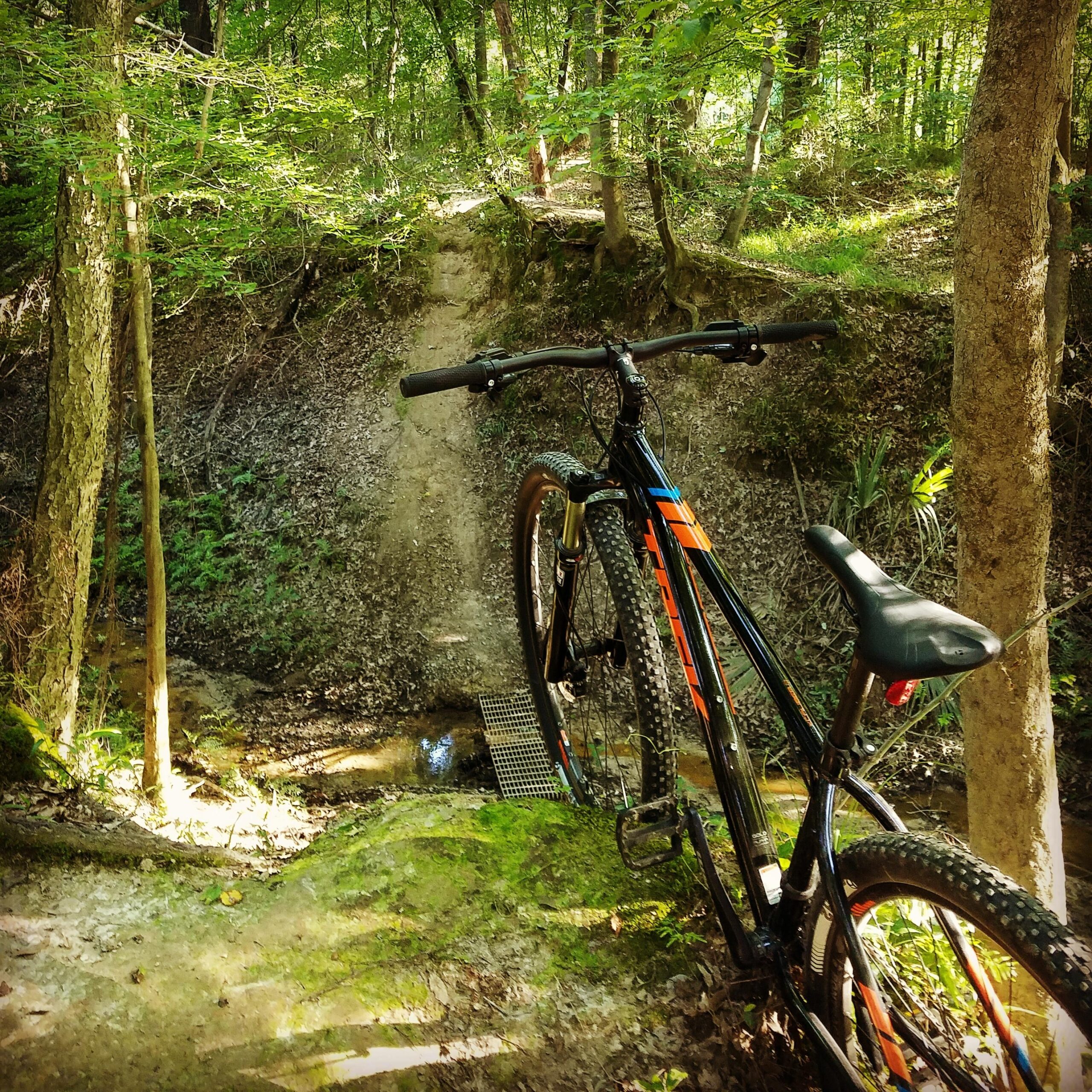 Trek X Caliber 8: A mountain bike is positioned on a rocky trail in a dense forest. In the background, the path leads over a small bridge crossing a shallow stream, surrounded by lush green foliage and trees. Sunlight filters through the leaves, creating a serene outdoor atmosphere.