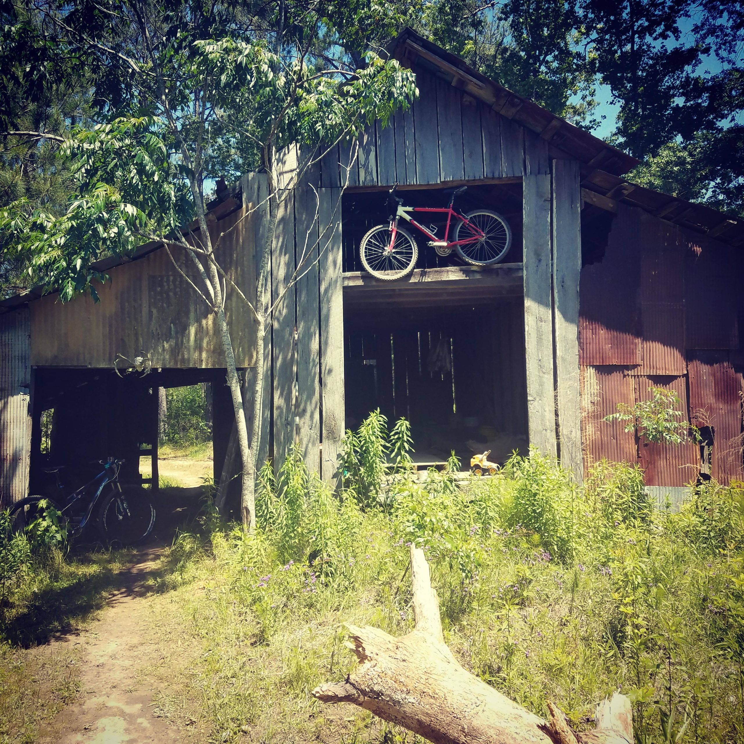 An old barn surrounded by tall grasses and trees, with a red bicycle perched on the upper level of the structure. The barn has visible peeling paint and rusted metal sections, showcasing its weathered appearance. In front, a pathway leads through the vegetation, and another bicycle is leaning against the side of the barn. Mt. Zion Bike Trails mountain bike trail.