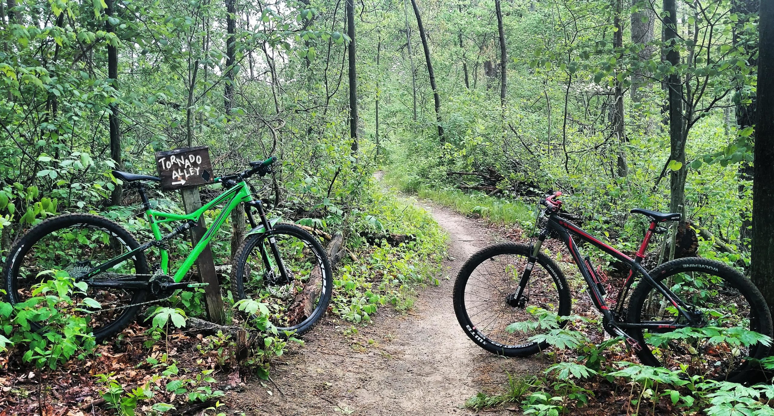 Two mountain bikes, one green and one red, are leaned against a wooden sign that reads "Tornado Alley." The scene is set in a lush, green forest with a narrow dirt path leading further into the woods. The surrounding vegetation includes various trees and leafy plants, indicating a vibrant natural environment. Brighton Rec Area mountain bike trail.
