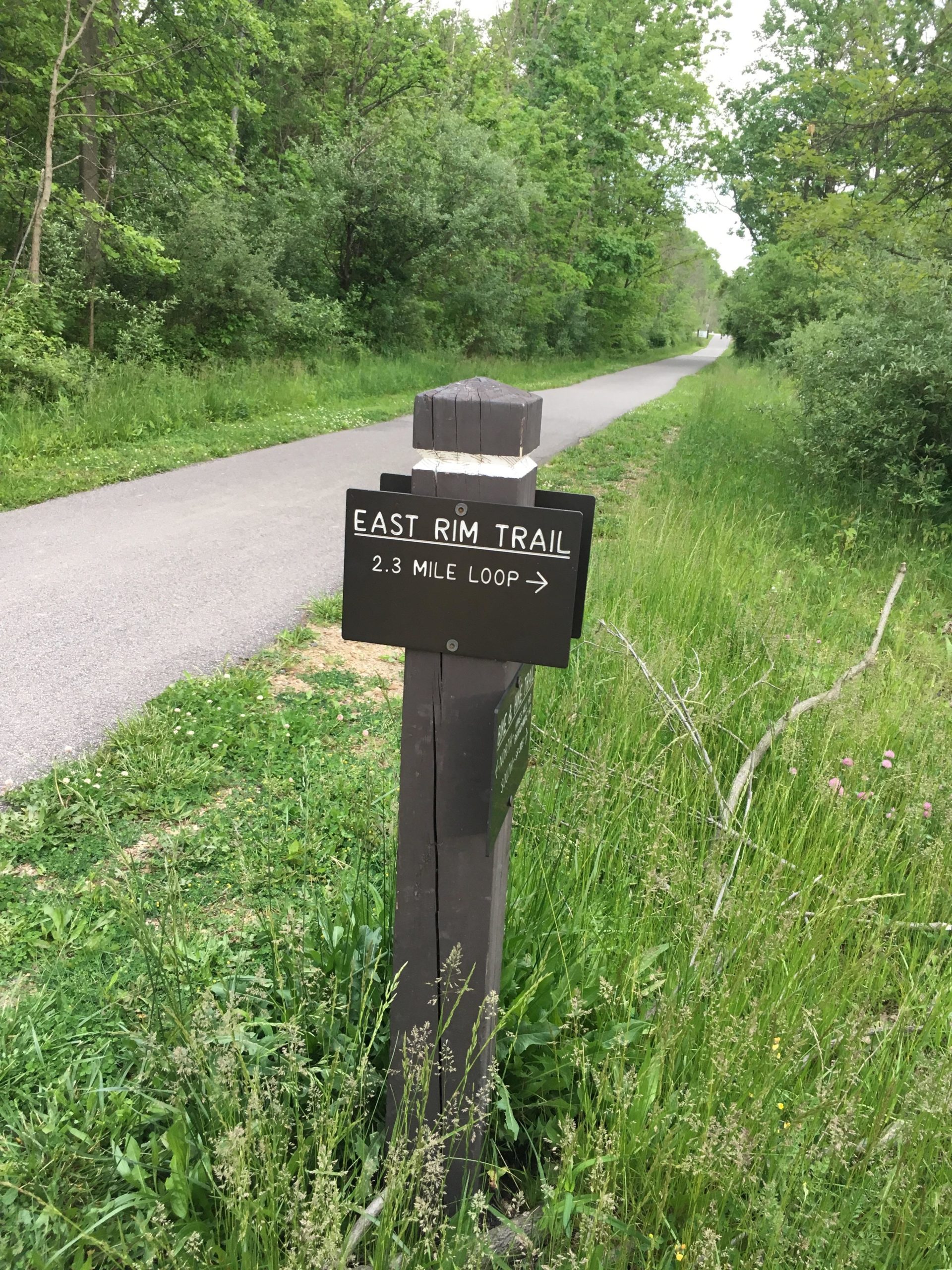 Sign for the East Rim Trail indicating a 2.3 mile loop, with a paved pathway visible in the background surrounded by greenery and trees. East Rim Trail mountain bike trail.