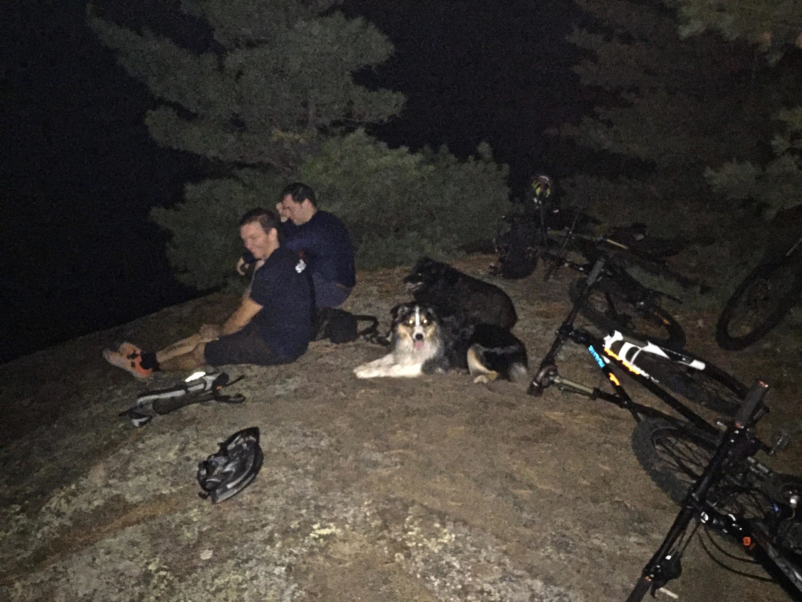 Two people sit on a rocky outcrop at night, enjoying the scenery, accompanied by two dogs. Mountain bikes are parked nearby, and trees are visible in the background. The atmosphere is calm and serene, suggesting a break during an outdoor adventure. Blueberry Hill mountain bike trail.