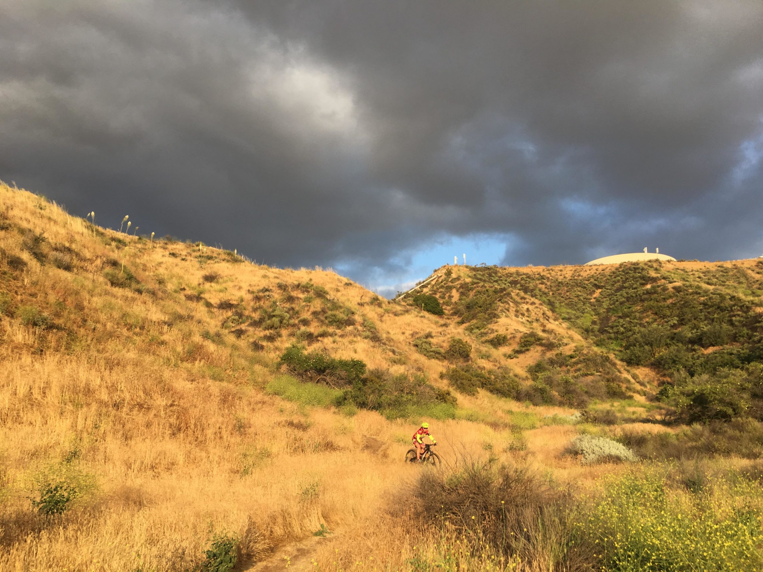 A cyclist rides through a scenic valley with golden grasses and hills, under an overcast sky with dark clouds. Sunlight highlights the grassy terrain while the cyclist is dressed in bright gear, adding a pop of color to the natural landscape. Central Park mountain bike trail.
