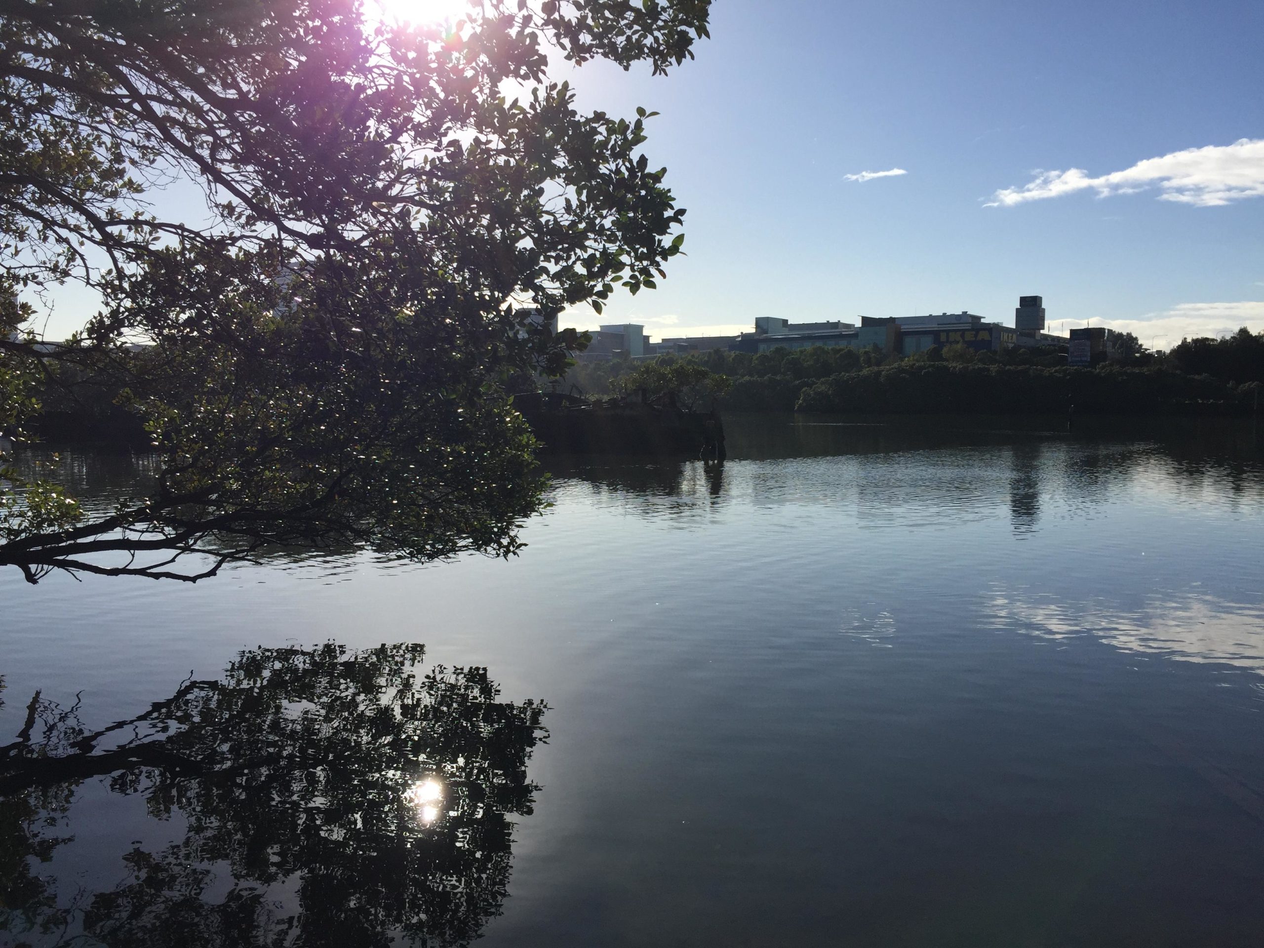 Lake Parramatta Reserve Sydney Mountain Bike