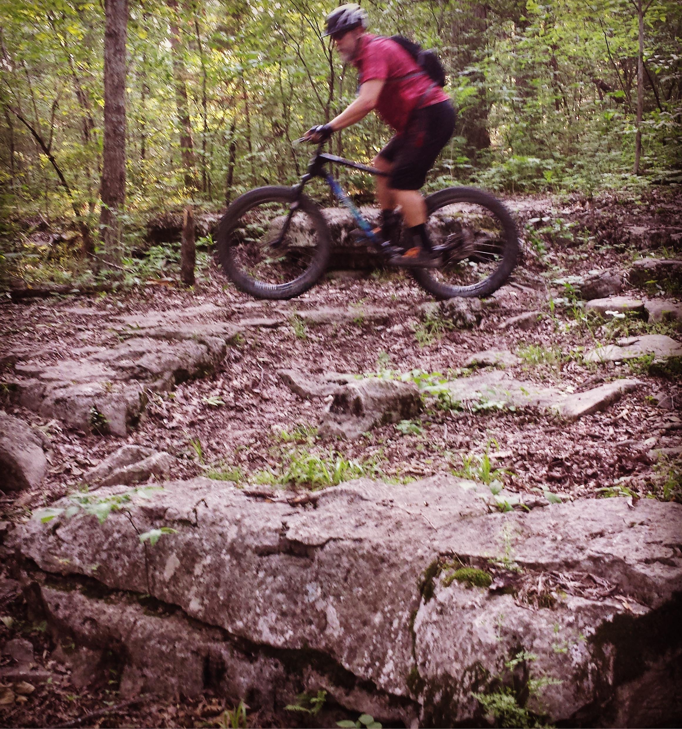 A cyclist in a red shirt jumps over rocky terrain in a forested area, surrounded by greenery and trees. The bike has thick tires suitable for off-road riding. Hamilton Creek mountain bike trail.
