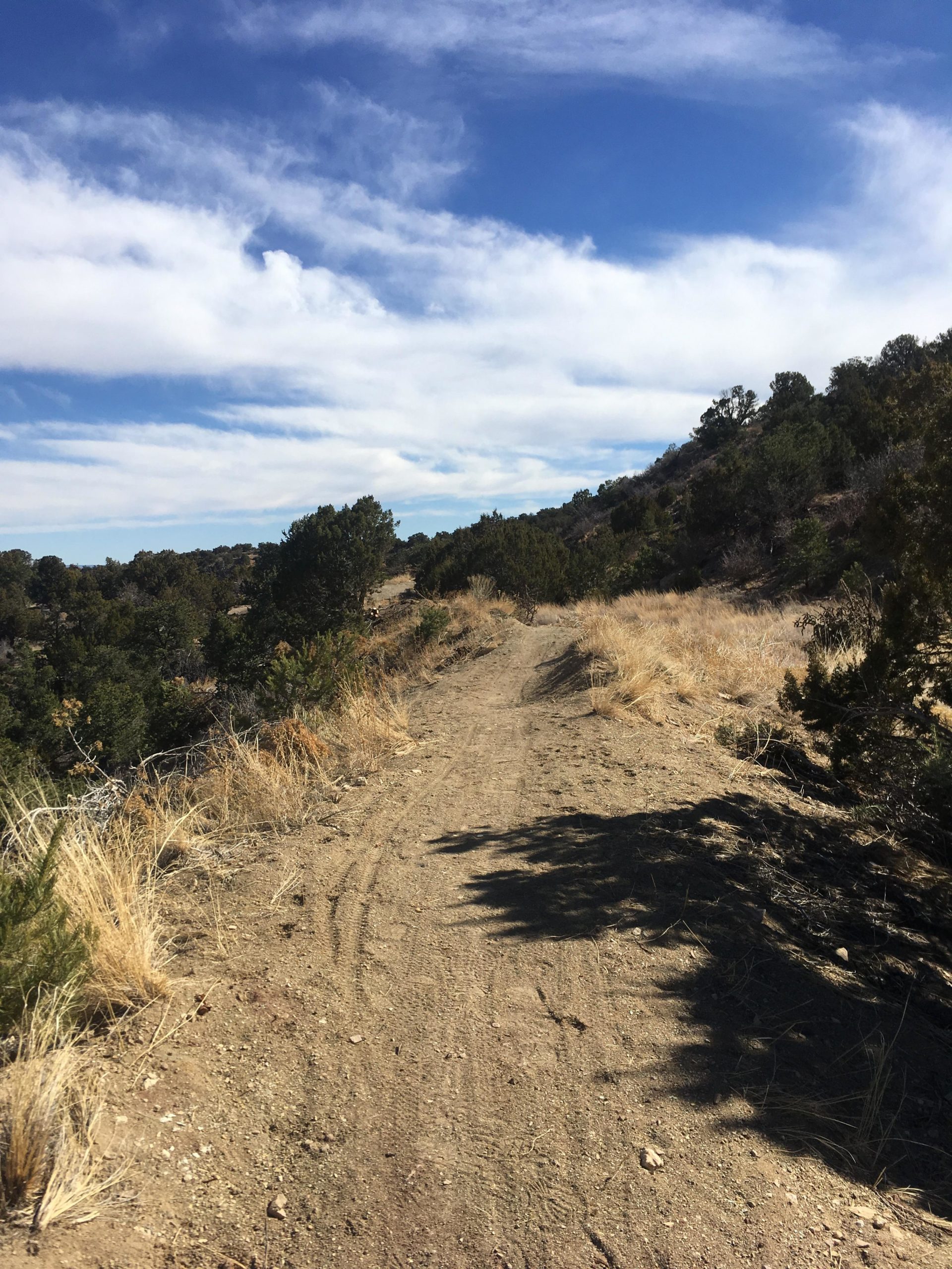 A dirt trail winding through a scenic landscape with dry grass and shrubs, under a blue sky with wispy clouds. The path is bordered by vegetation and slopes gently upward, inviting exploration. South Canon Trails mountain bike trail.