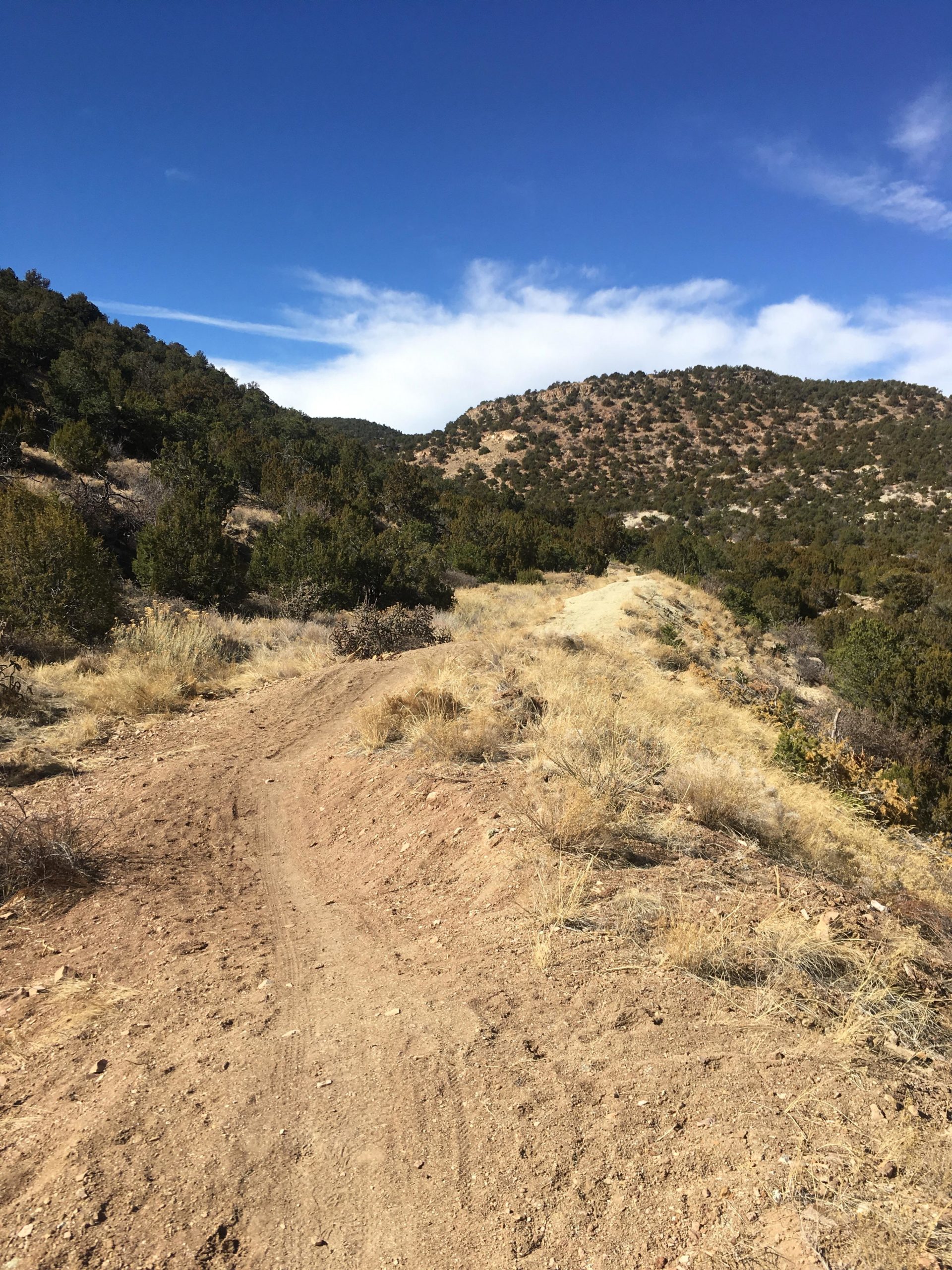A dirt trail winding through a hilly landscape, surrounded by sparse vegetation and shrubs, against a backdrop of a clear blue sky with some white clouds. The terrain appears dry and rocky, suggesting a natural outdoor setting. South Canon Trails mountain bike trail.