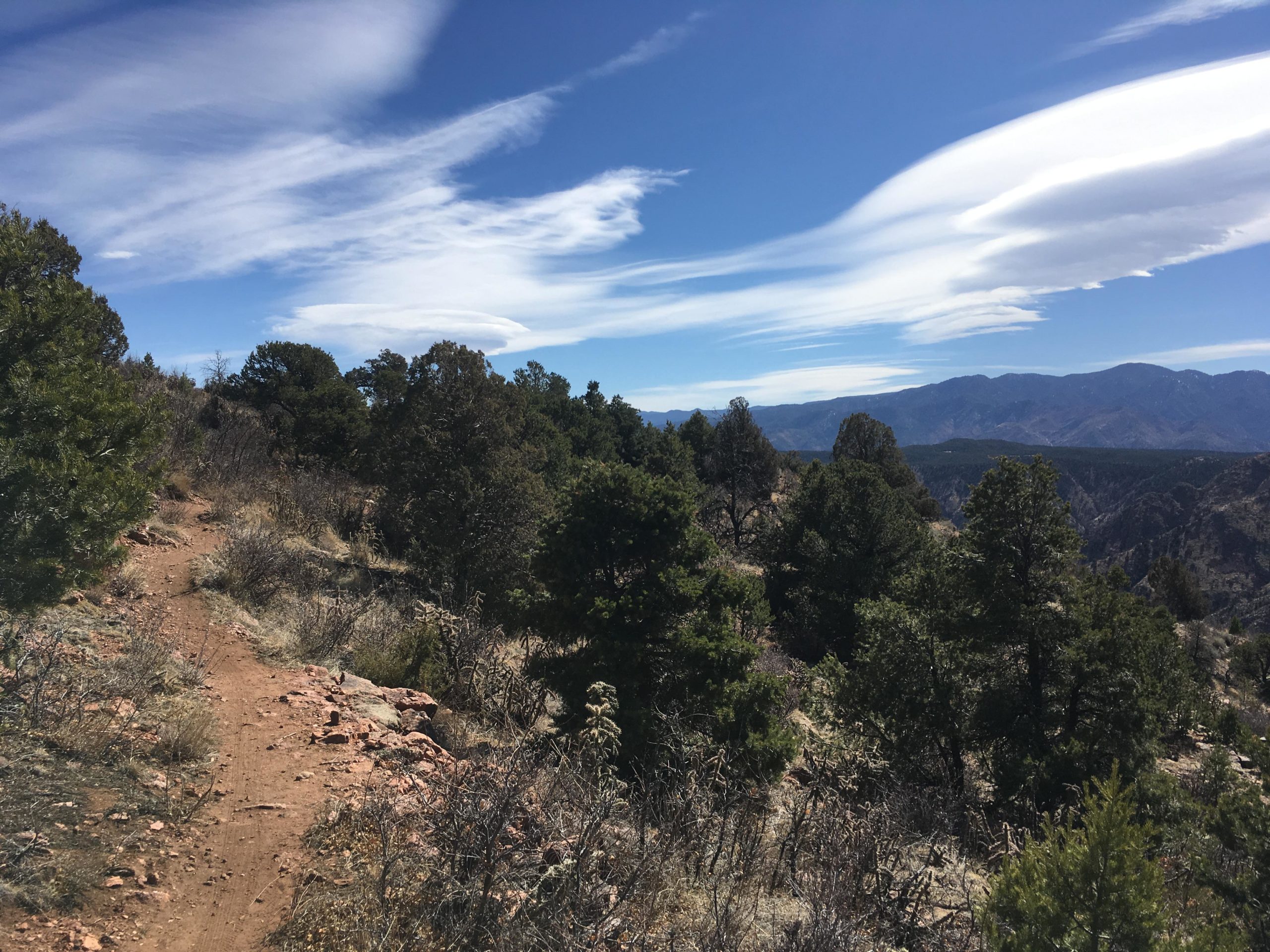 A scenic view of a trail winding through a mountainous landscape, featuring lush green trees and rocky terrain. The sky is clear with a few wispy clouds, and distant mountains create a serene backdrop under bright daylight. Royal Gorge Park Trail System mountain bike trail.