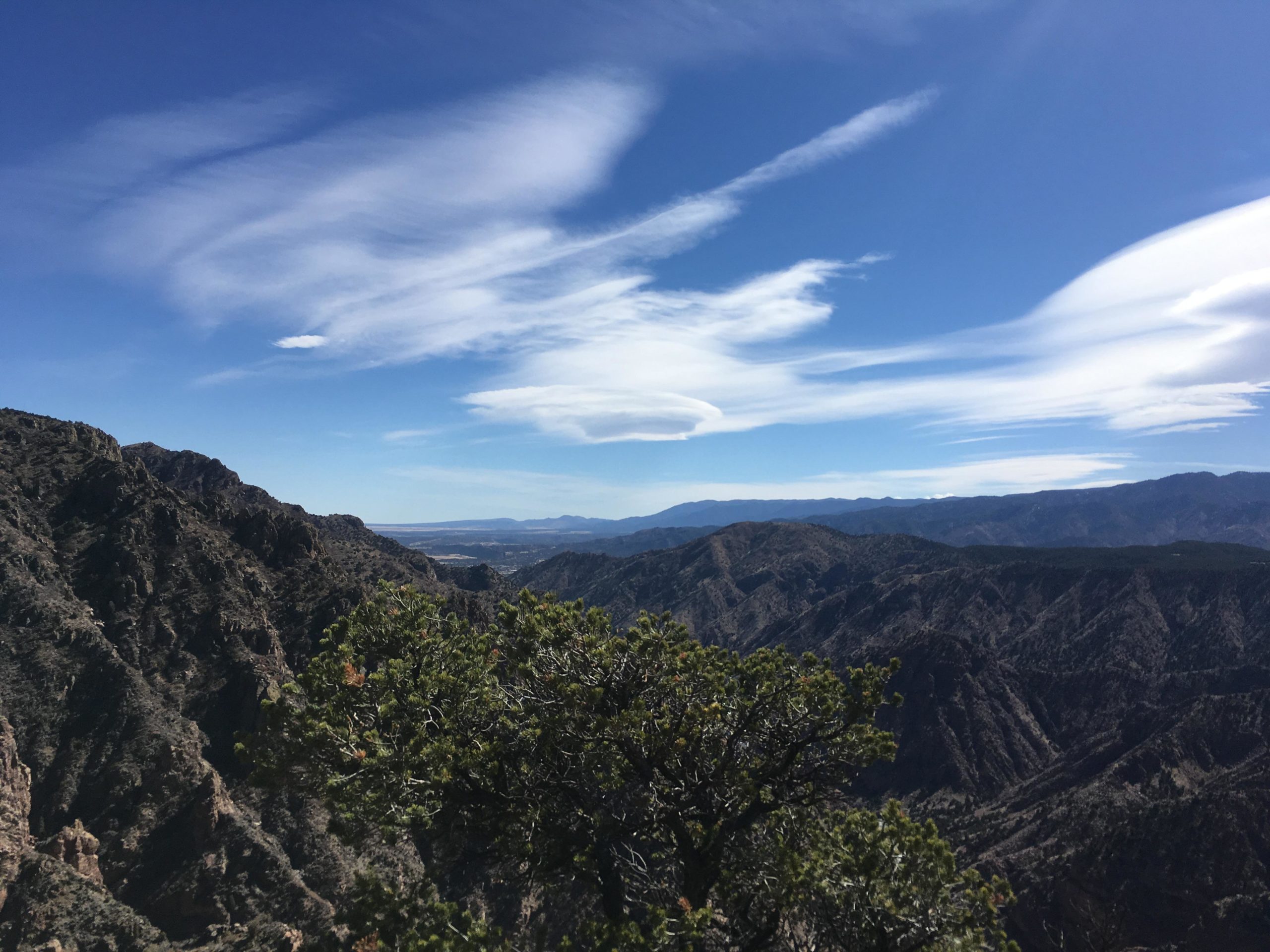 A scenic view of rugged mountain terrain under a clear blue sky, featuring wispy clouds. In the foreground, a green shrub adds a touch of nature to the rocky landscape, while the distant mountains create a layered effect against the horizon. Royal Gorge Park Trail System mountain bike trail.