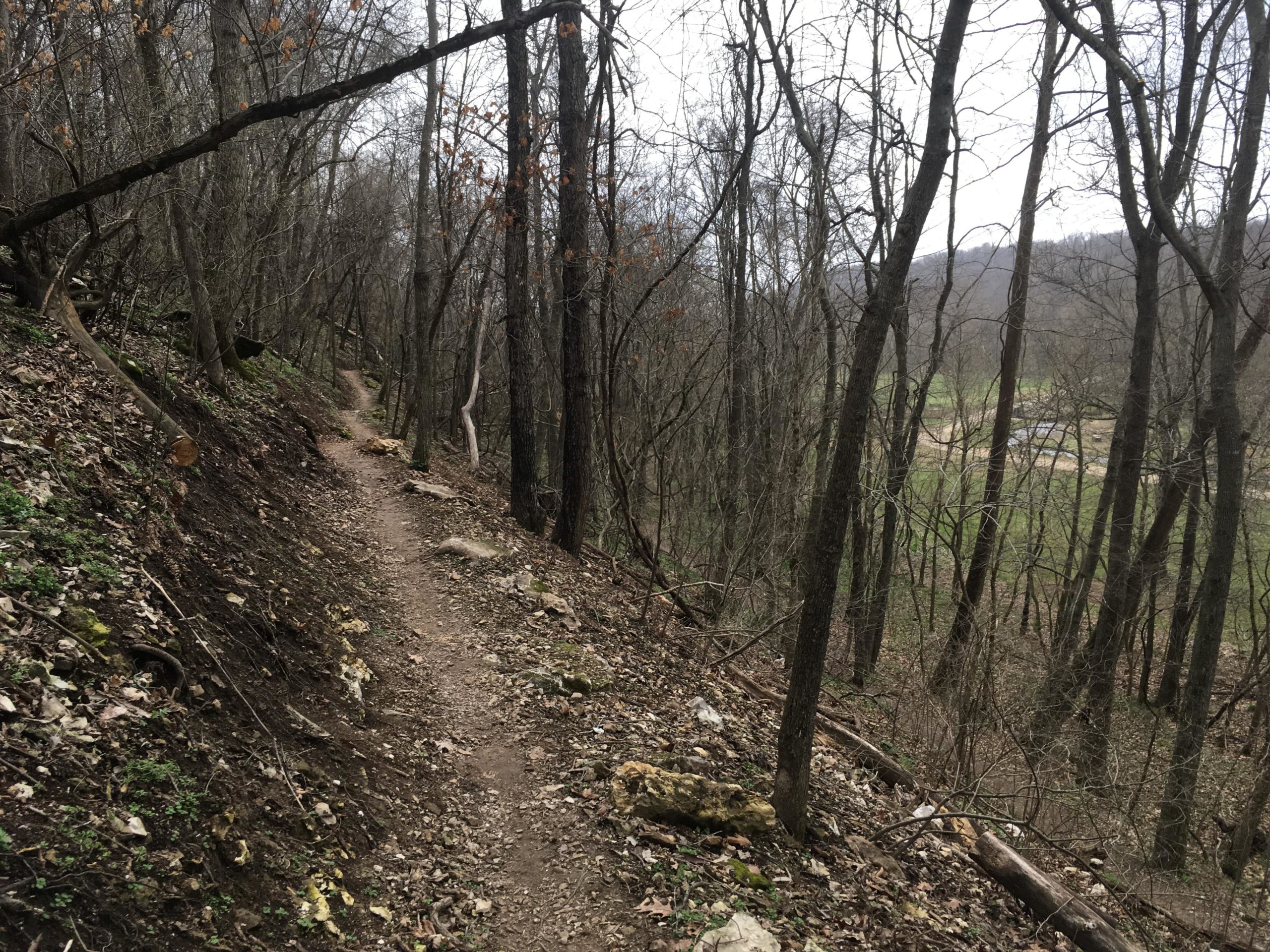A narrow dirt trail winds through a wooded area with bare trees and scattered rocks, leading towards a valley in the distance. The scene is set on an overcast day, with hints of green grass visible below the tree line and a faint outline of hills in the background. Coler Mountain Bike Preserve mountain bike trail.