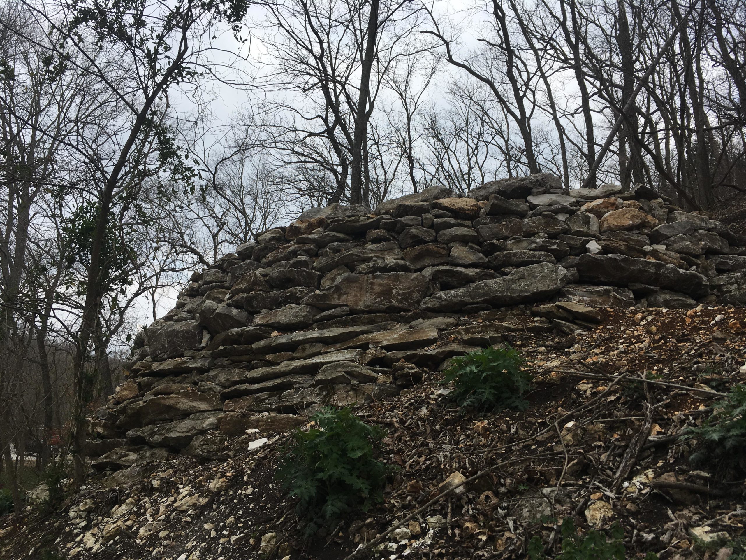 A stone structure partially covered in dirt and vegetation, surrounded by bare trees under a cloudy sky. Coler Mountain Bike Preserve mountain bike trail.
