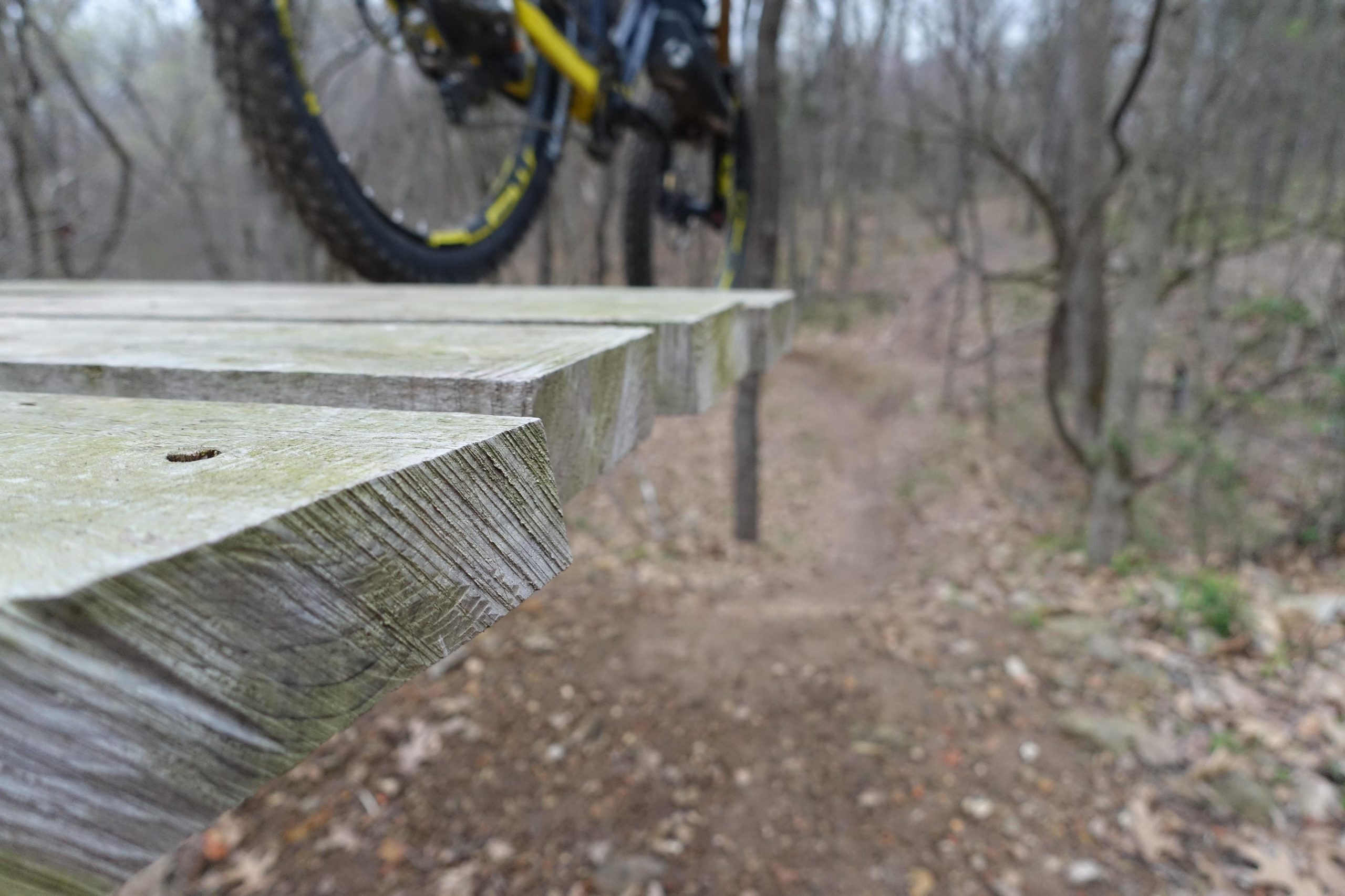 Close-up view of a wooden trail feature with a bike tire visible in the background, set in a wooded area. The image captures the textured edge of the wood, which is slightly weathered, with a dirt path winding through the forest behind it. Slaughter Pen Trail mountain bike trail.