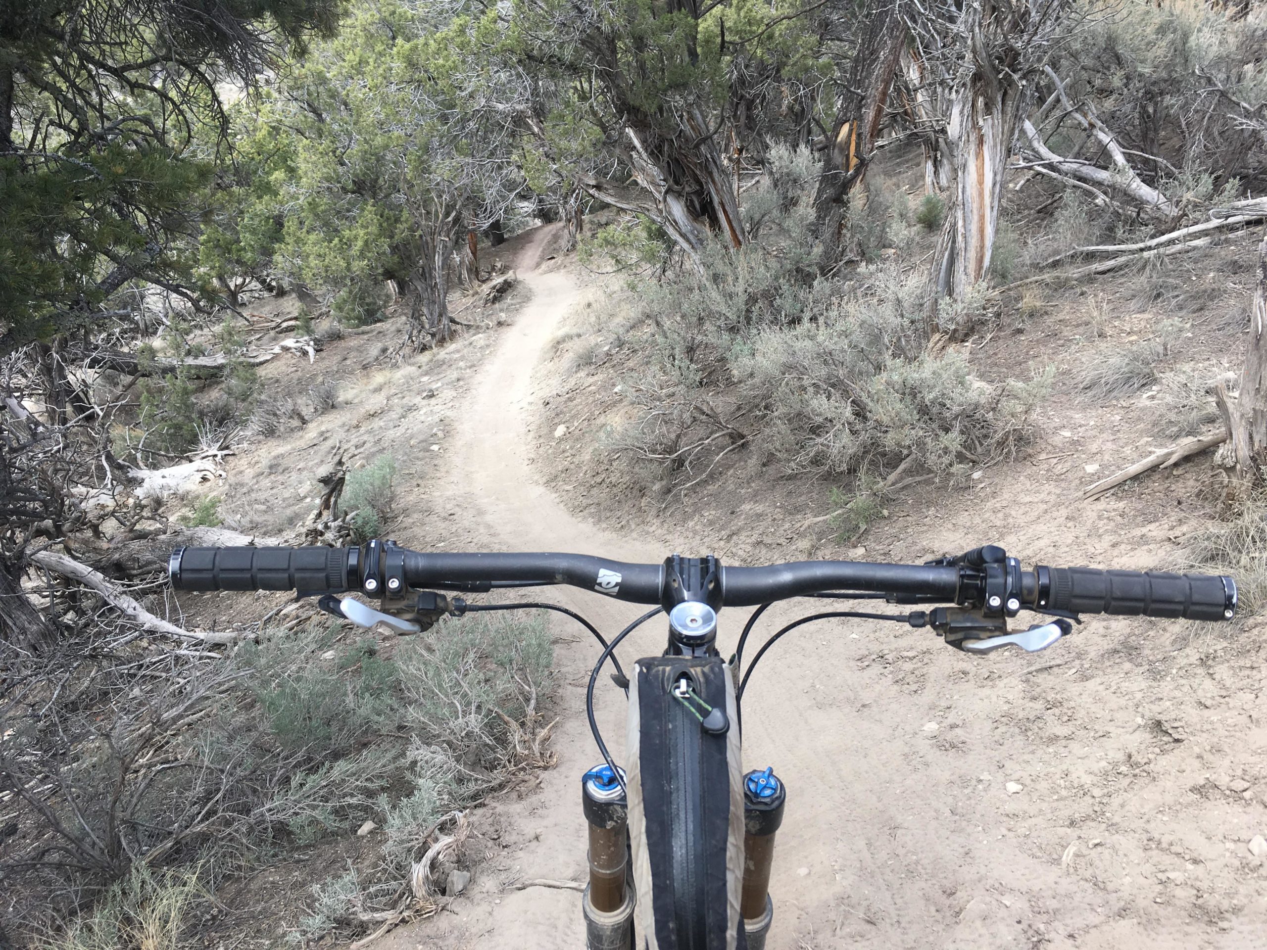 Close-up view of bicycle handlebars on a dirt trail winding through trees and shrubs in a natural landscape. The trail curves ahead, indicating a path through a rugged outdoor setting. Haymaker Trail mountain bike trail.