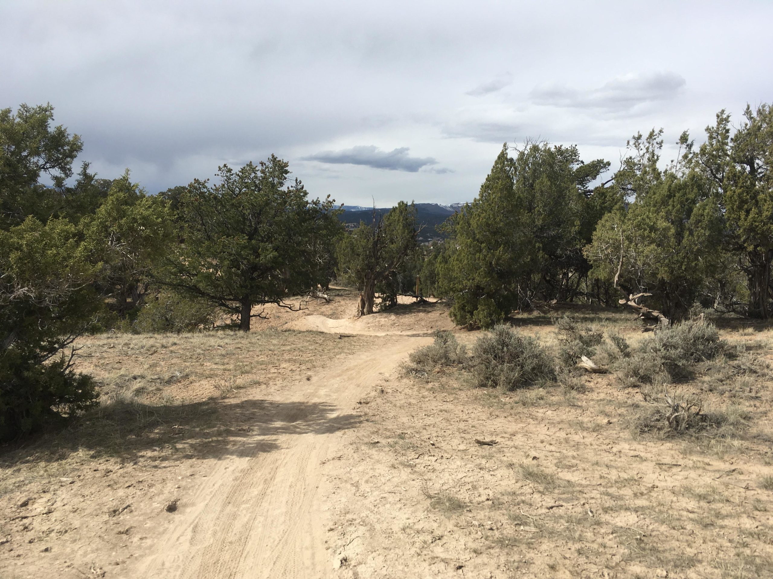 A dirt path winding through a dry landscape, flanked by shrubs and trees, under a cloudy sky. In the distance, hills are visible. Haymaker Trail mountain bike trail.