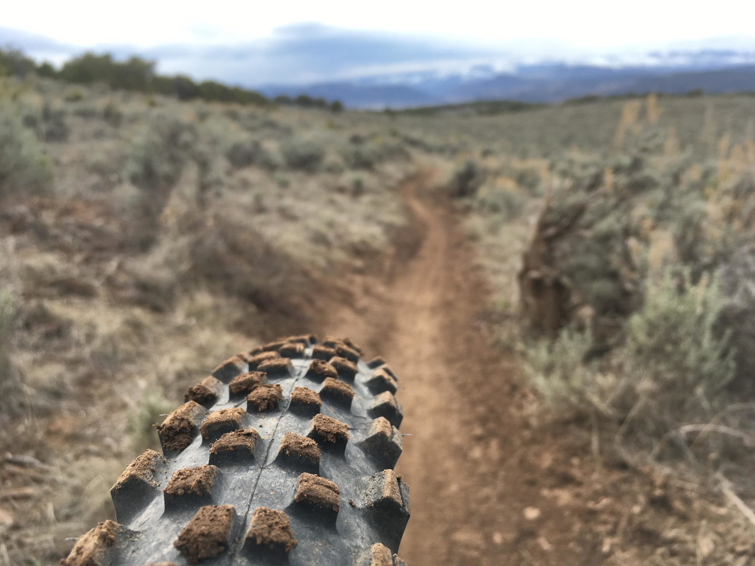Close-up view of a bicycle tire with distinct tread patterns, resting above a dirt trail surrounded by sparse vegetation and shrubbery, under a cloudy sky. The trail winds off into the distance, showcasing a natural landscape ideal for cycling. The Boneyard mountain bike trail.