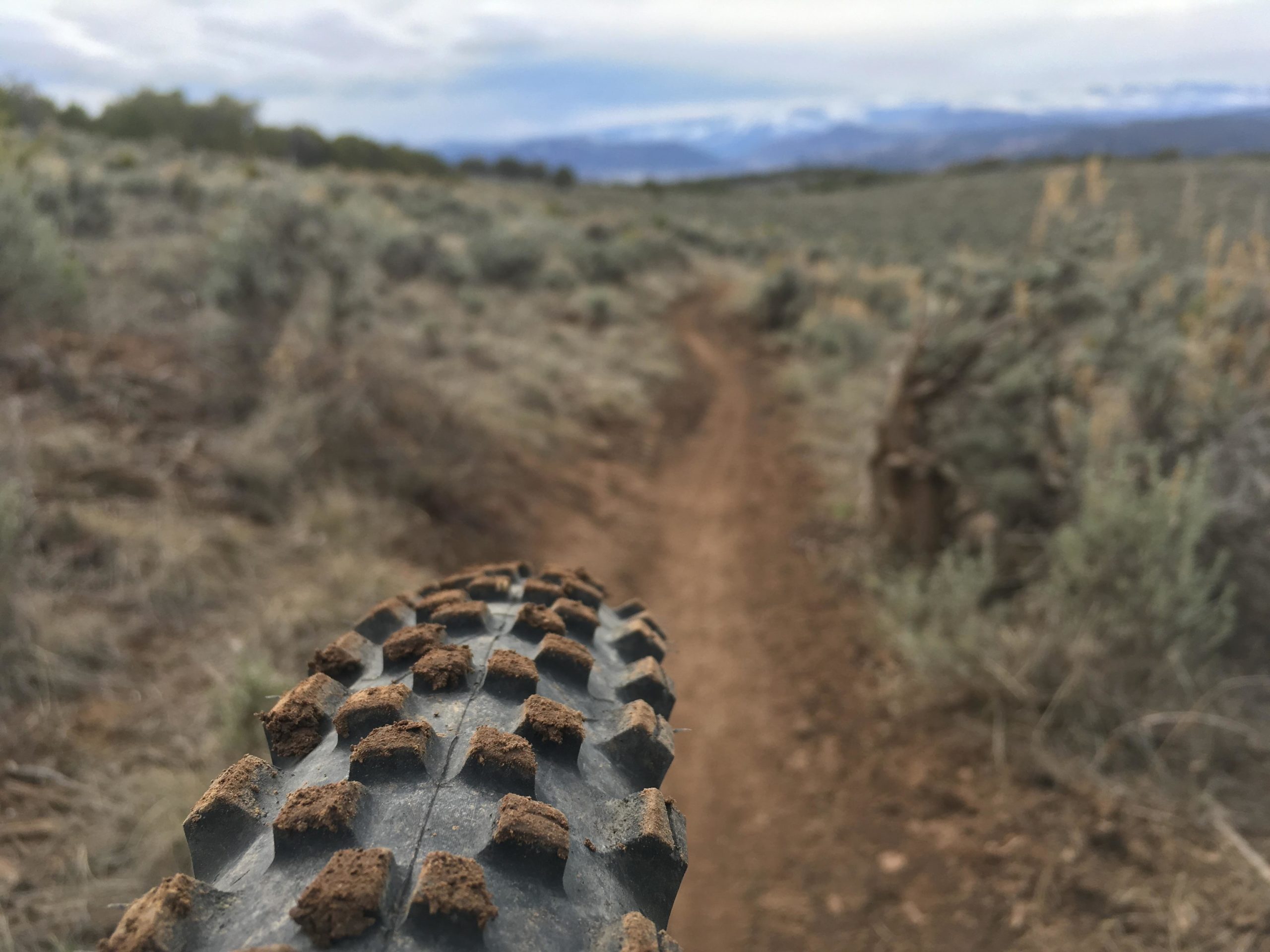 Close-up view of a bicycle tire showing its tread pattern, with dirt and debris, positioned above a winding dirt trail surrounded by low shrubs and vegetation under a cloudy sky. The Boneyard mountain bike trail.