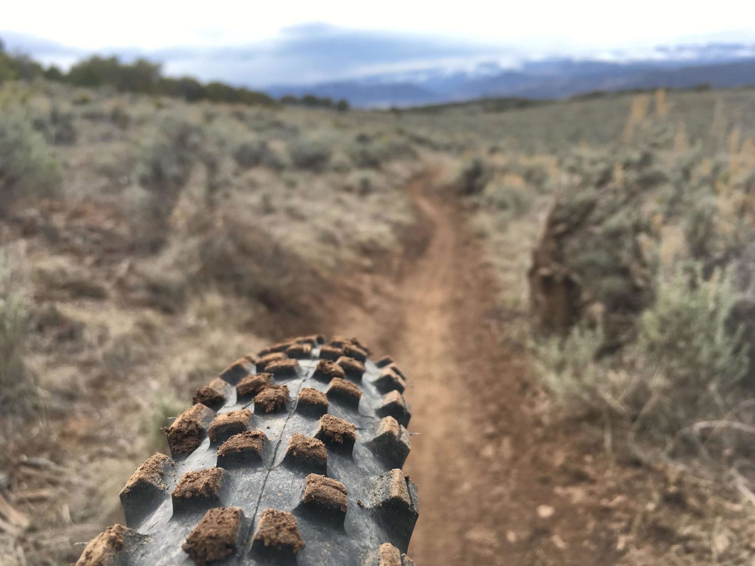 Close-up view of a bicycle tire with a rugged tread pattern, resting above a dirt trail winding through a grassy landscape with sparse vegetation and mountains in the background under cloudy skies. The Boneyard mountain bike trail.