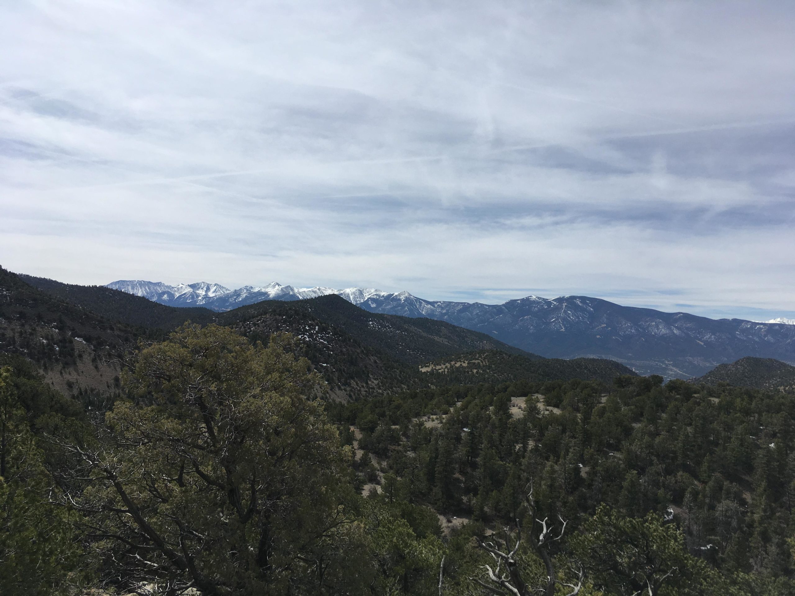 A panoramic view of mountainous landscape featuring rolling hills covered with vegetation in the foreground and snow-capped peaks in the distance, under a partly cloudy sky. Cottonwood mountain bike trail.